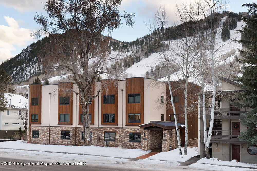 119 E Cooper Avenue Aspen CO 81611
