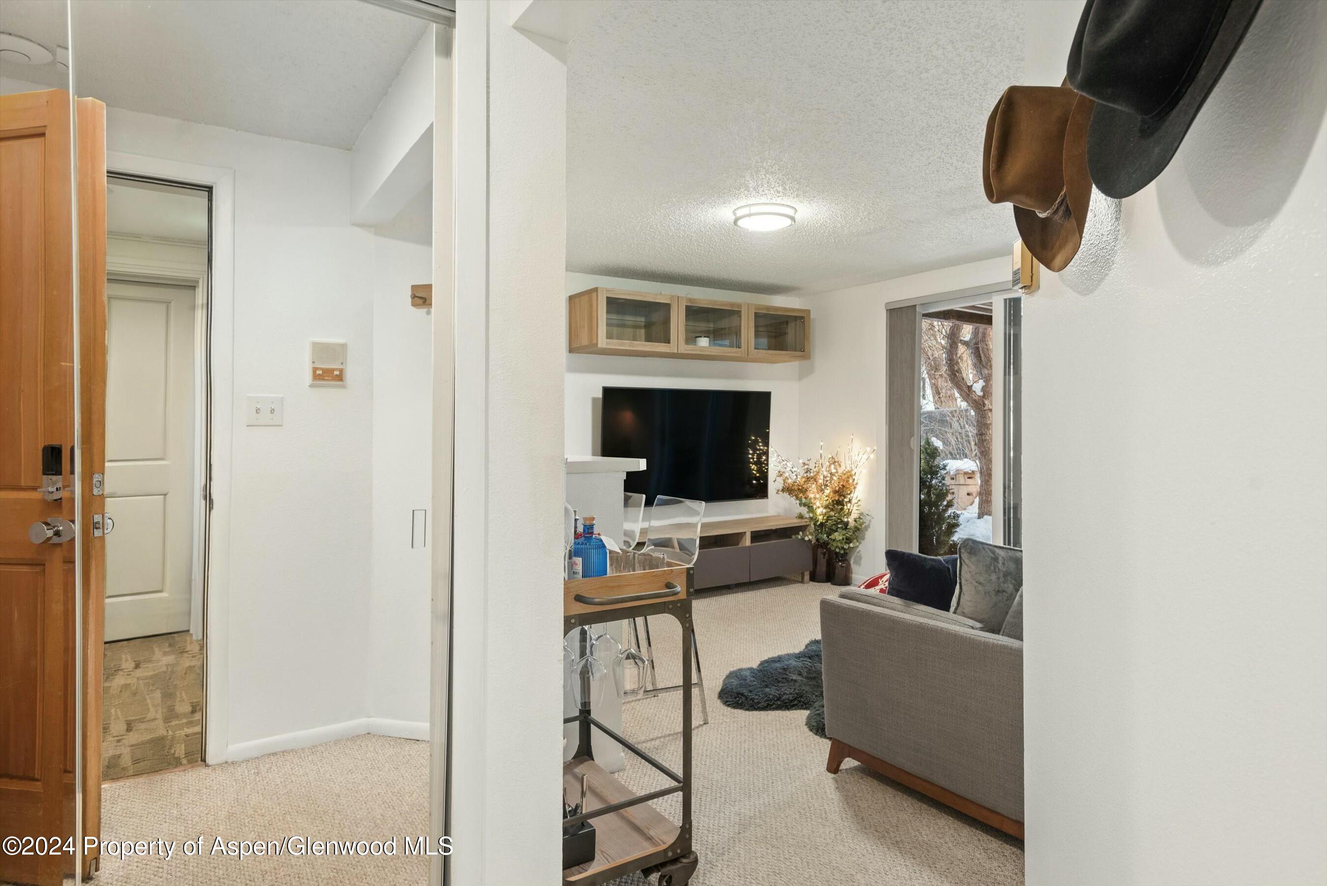 119 E Cooper Avenue Aspen CO 81611