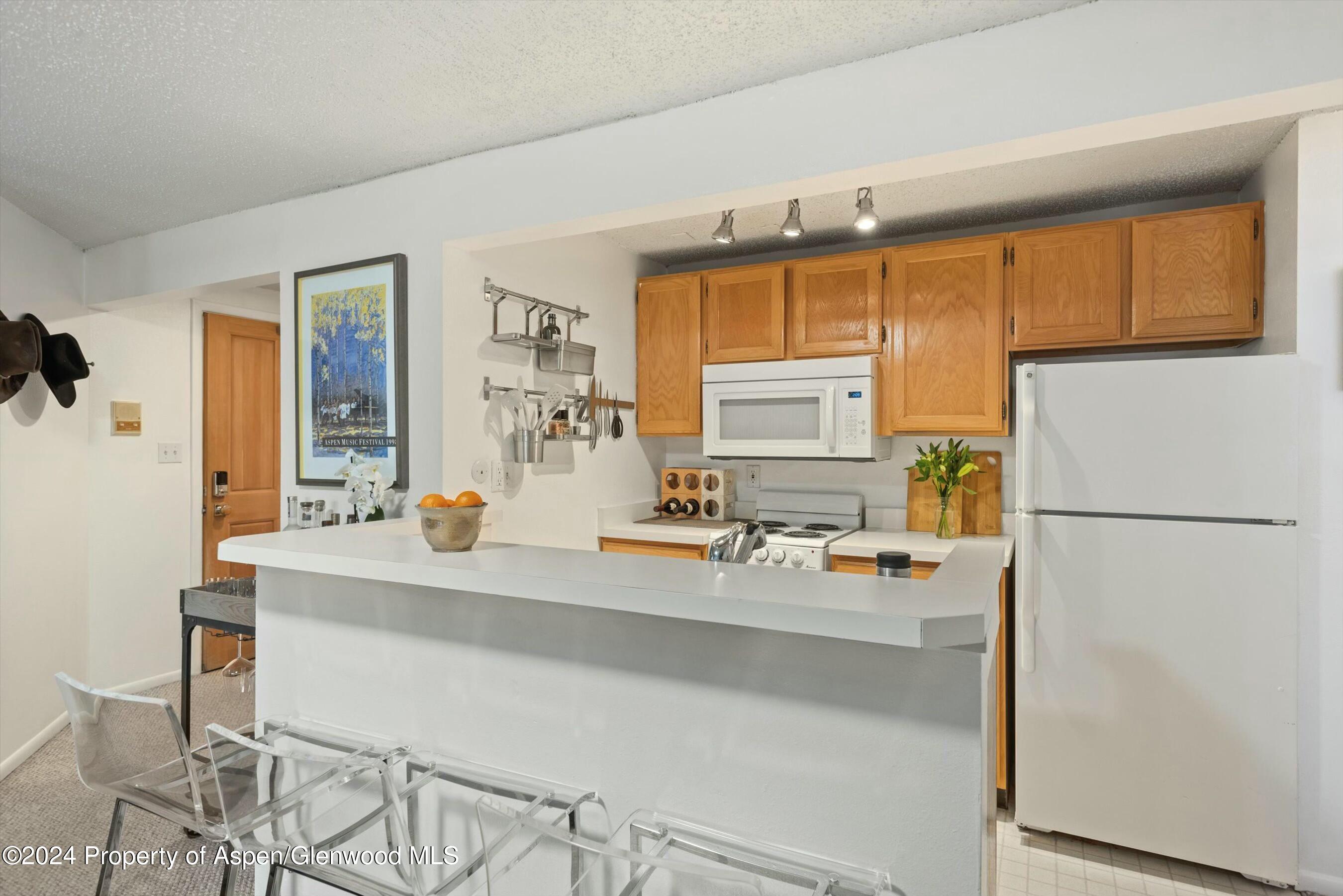 119 E Cooper Avenue Aspen CO 81611