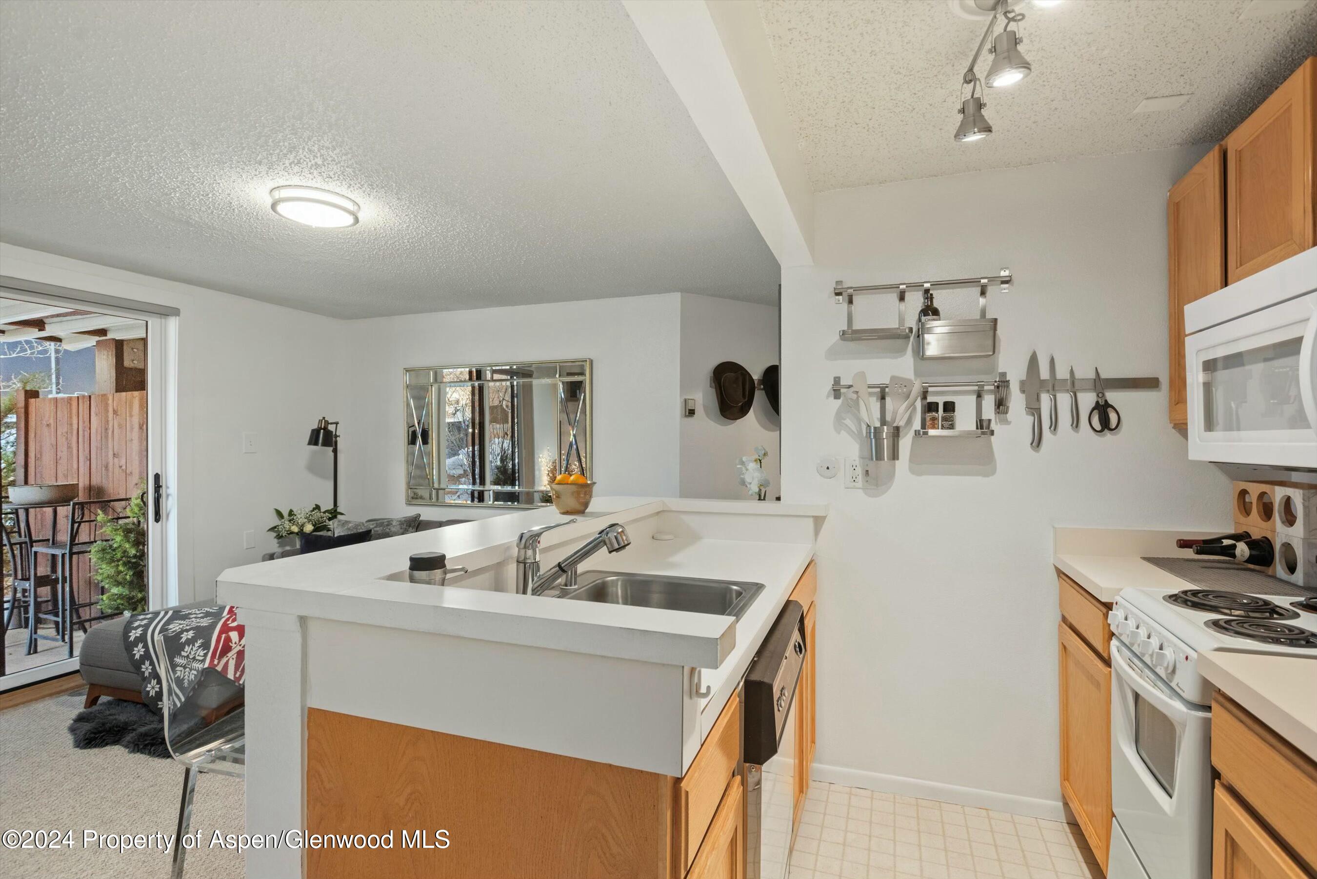 119 E Cooper Avenue Aspen CO 81611