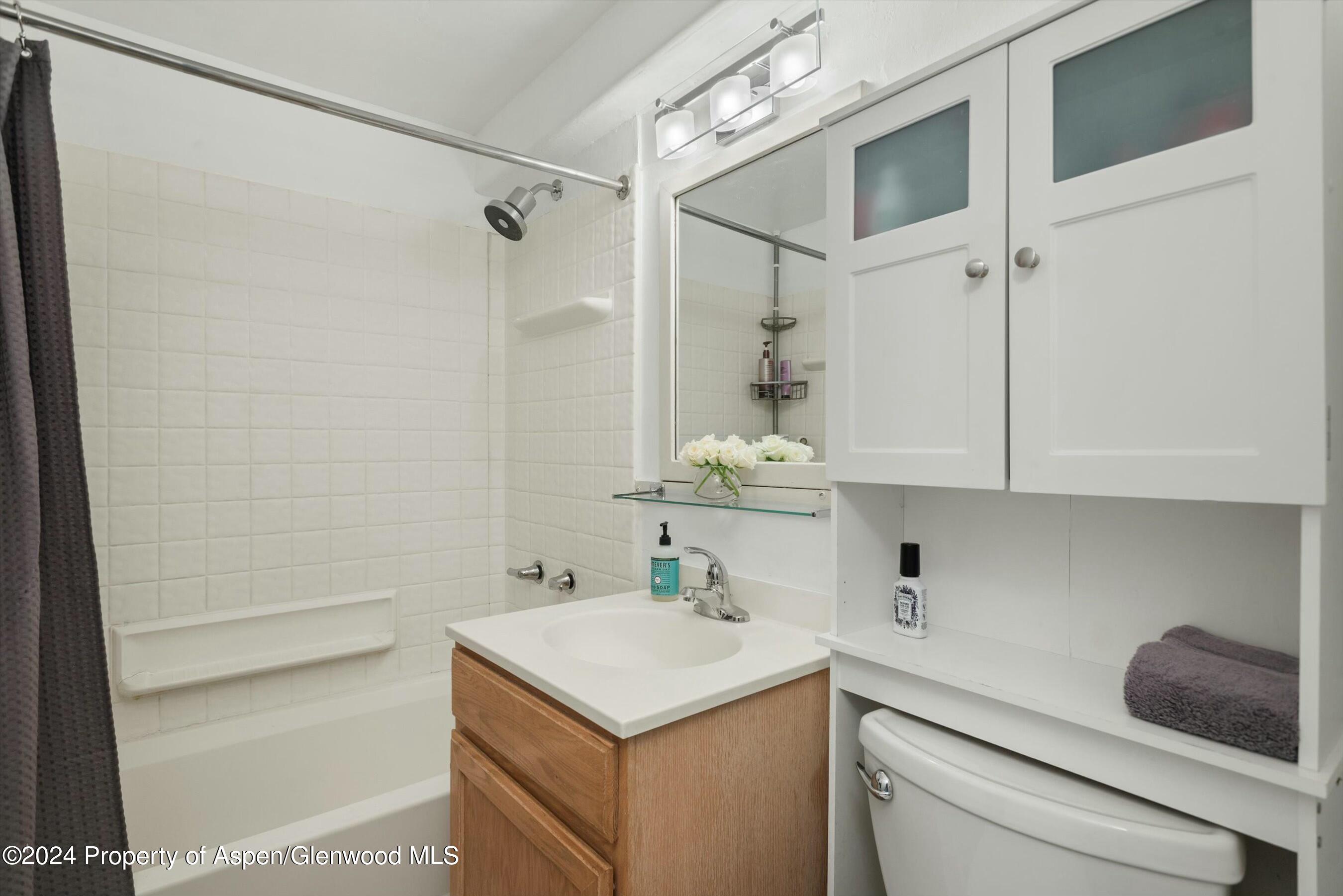 119 E Cooper Avenue Aspen CO 81611