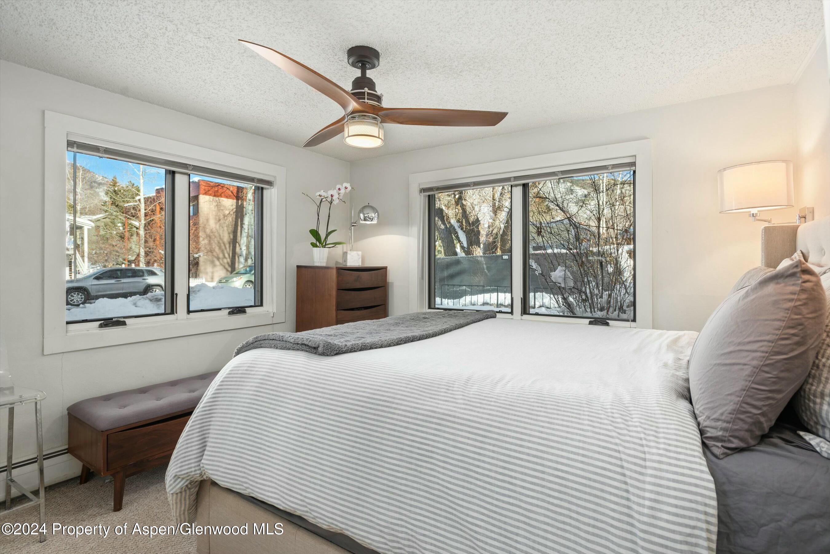 119 E Cooper Avenue Aspen CO 81611