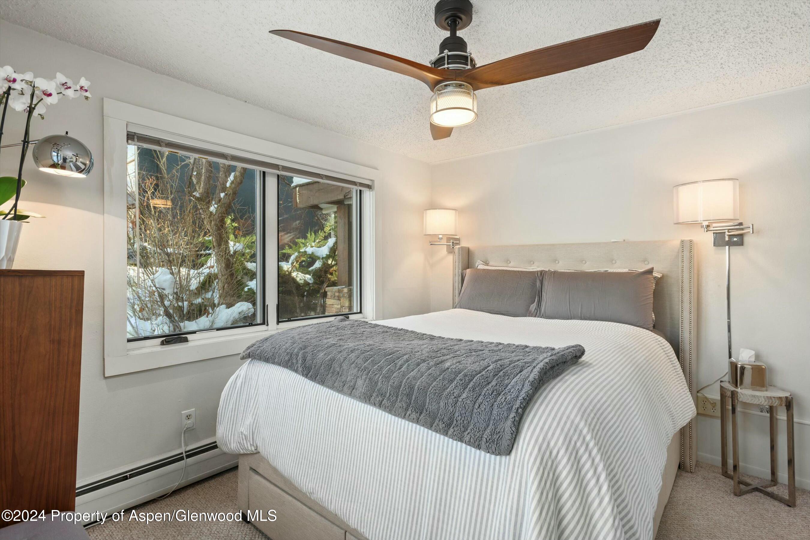 119 E Cooper Avenue Aspen CO 81611