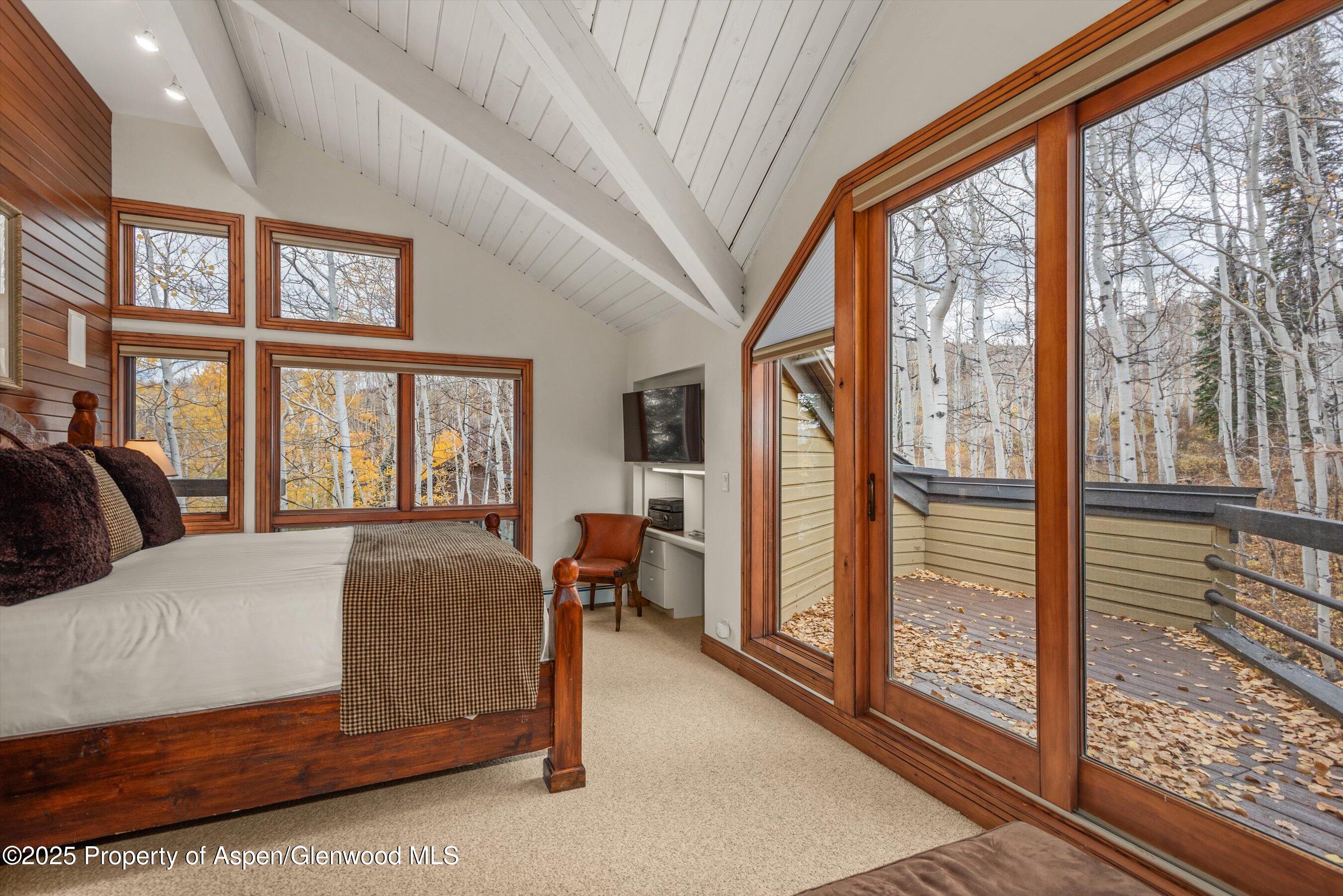 140 Forest Lane Snowmass Village CO 81615