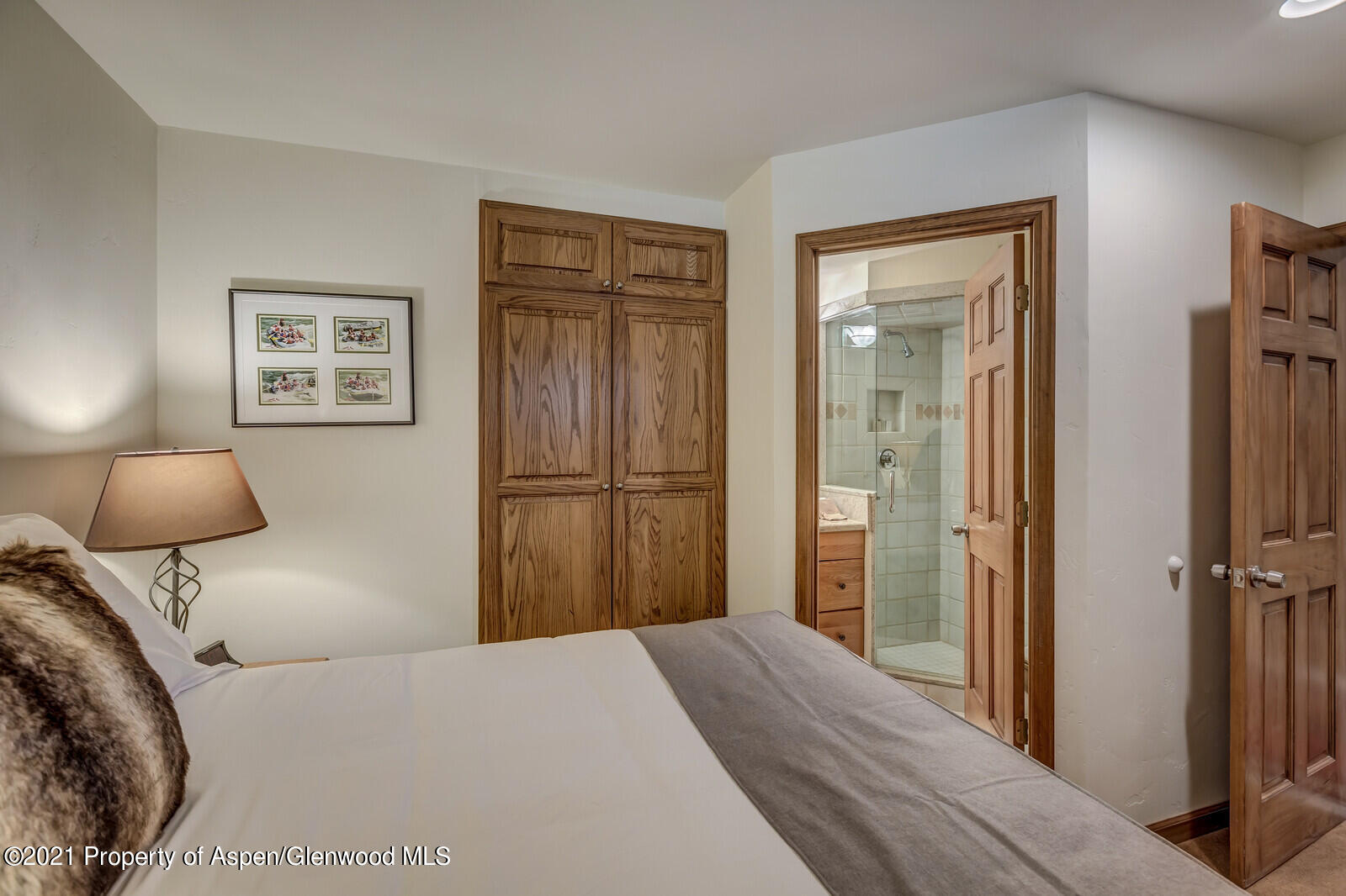 650 S Monarch Street Aspen CO 81611