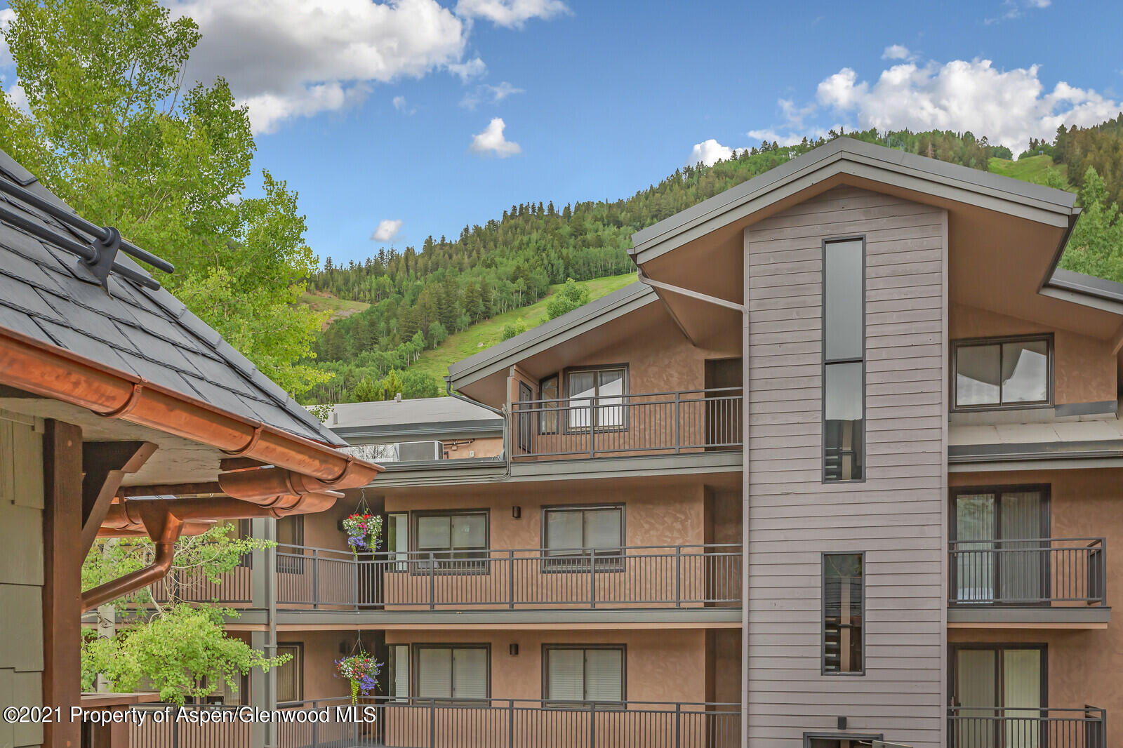 650 S Monarch Street Aspen CO 81611