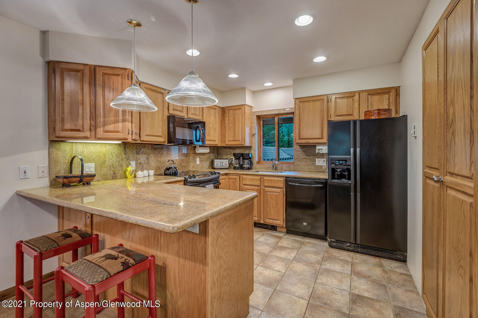 650 S Monarch Street Aspen CO 81611