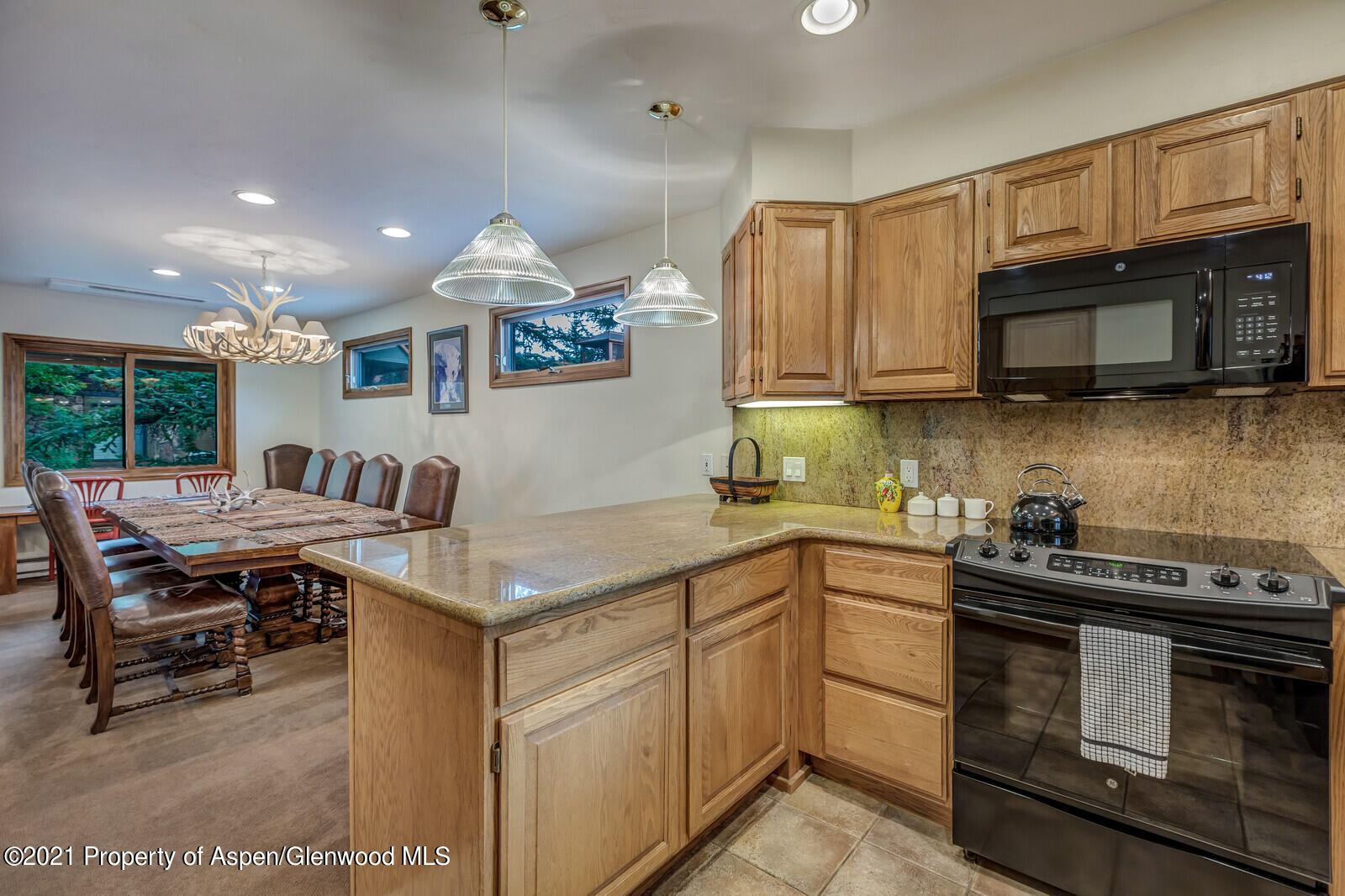 650 S Monarch Street Aspen CO 81611