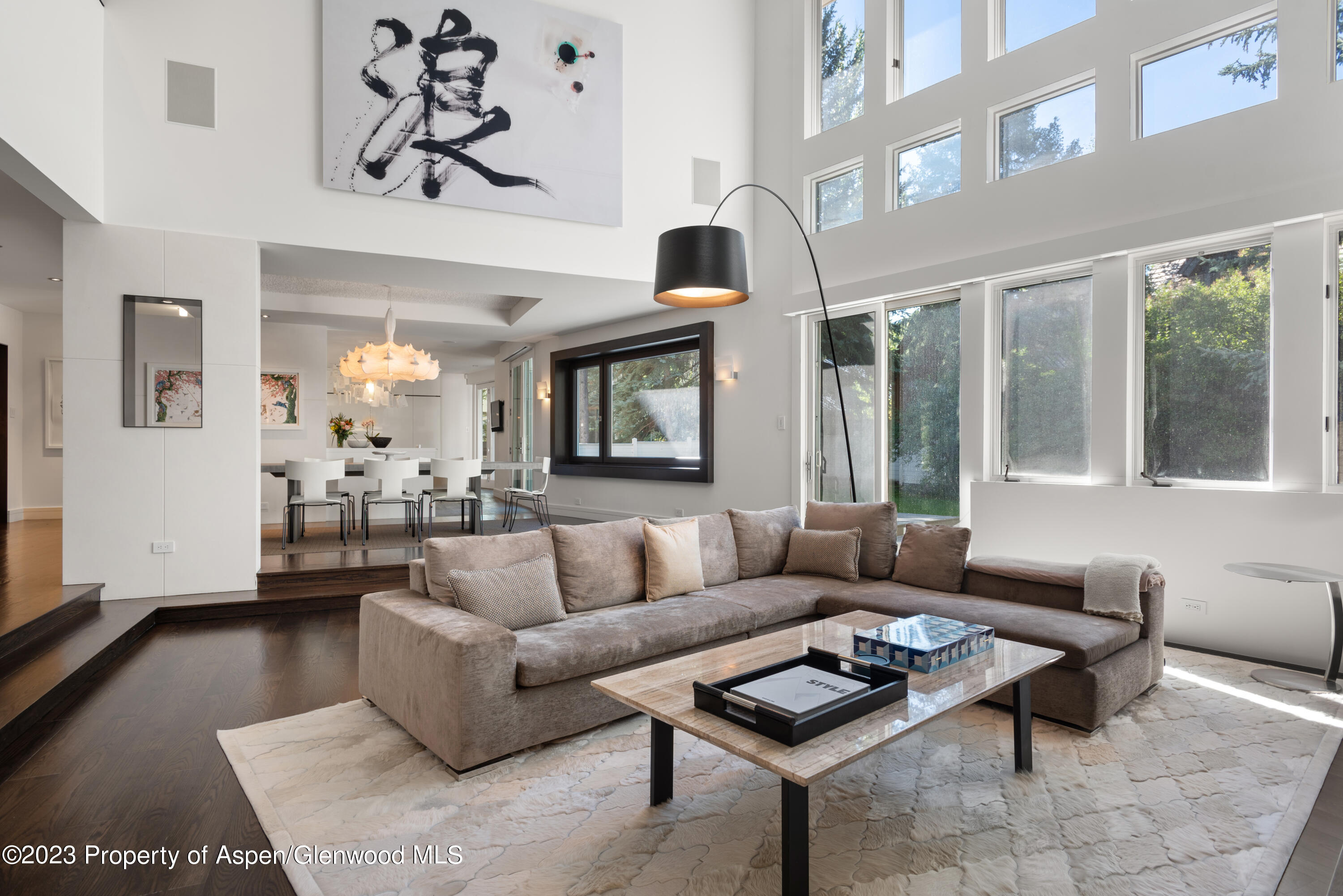 517 W North Street Aspen CO 81611