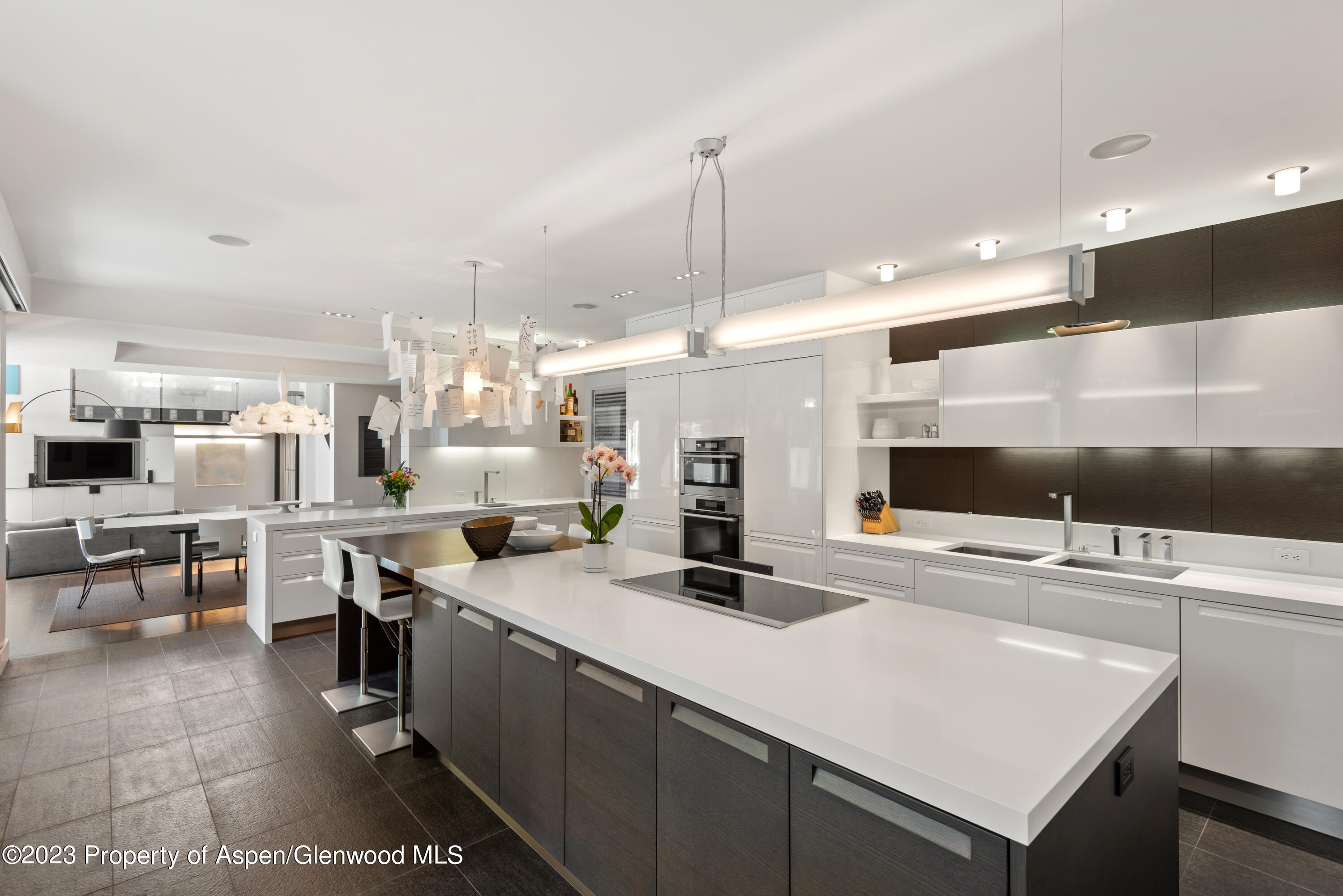 517 W North Street Aspen CO 81611