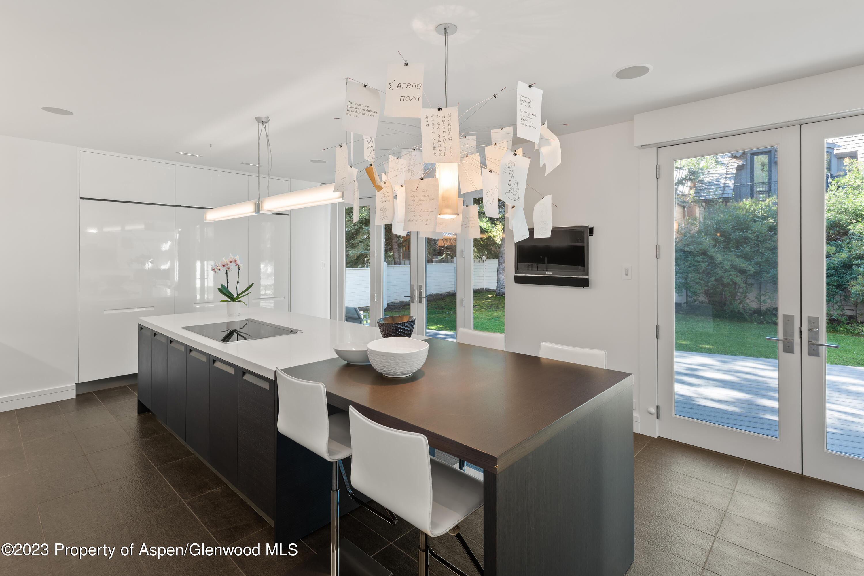 517 W North Street Aspen CO 81611