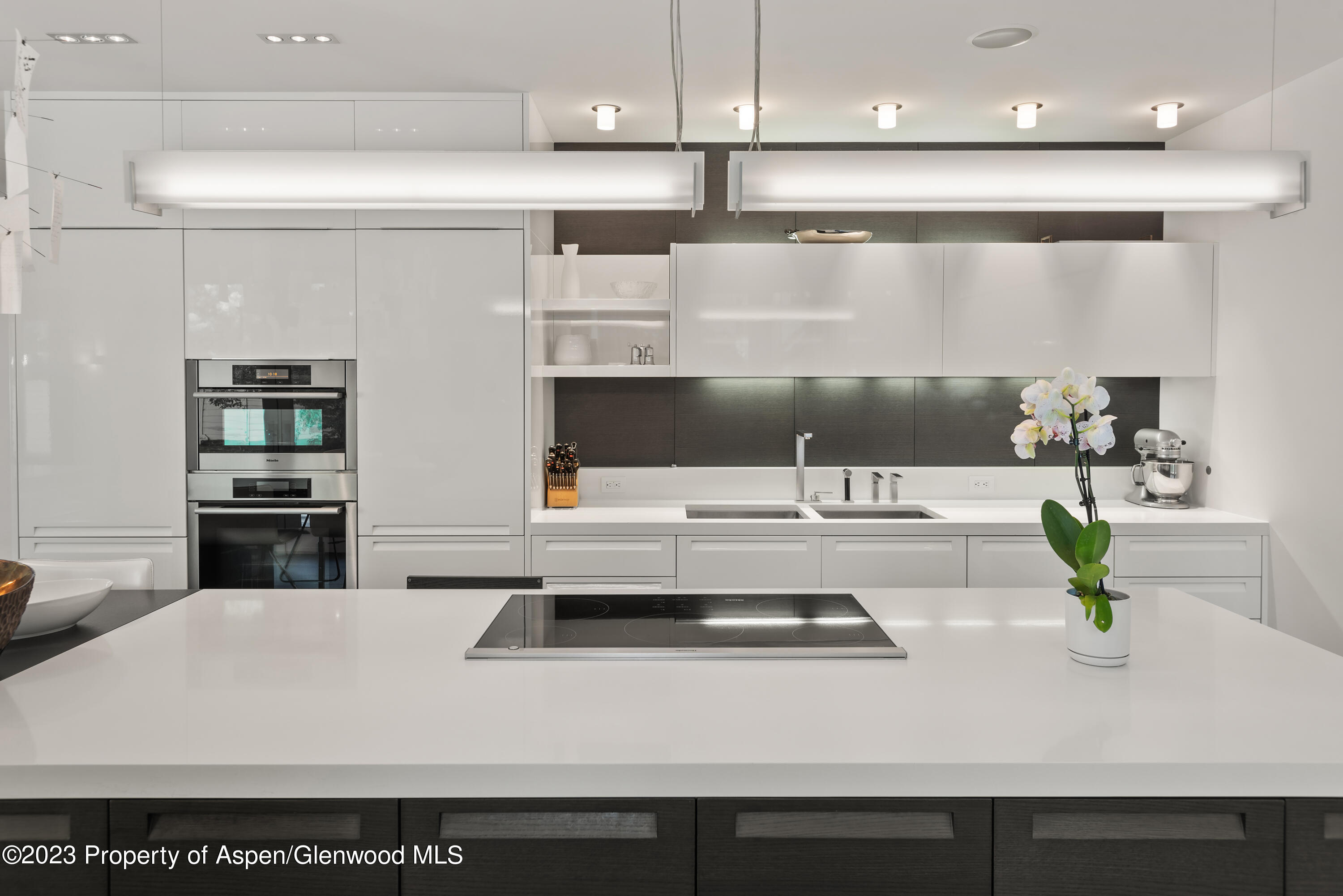 517 W North Street Aspen CO 81611