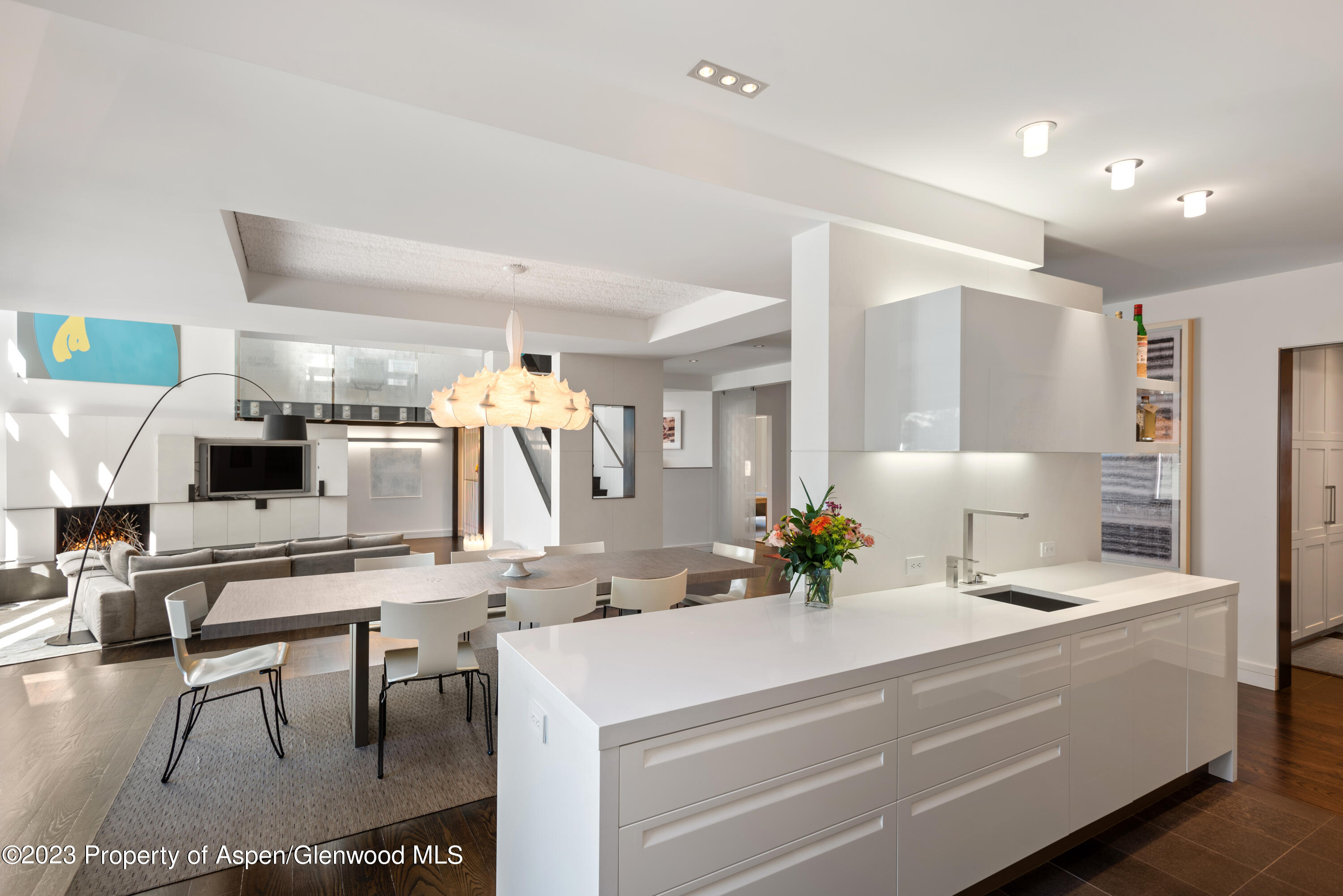 517 W North Street Aspen CO 81611