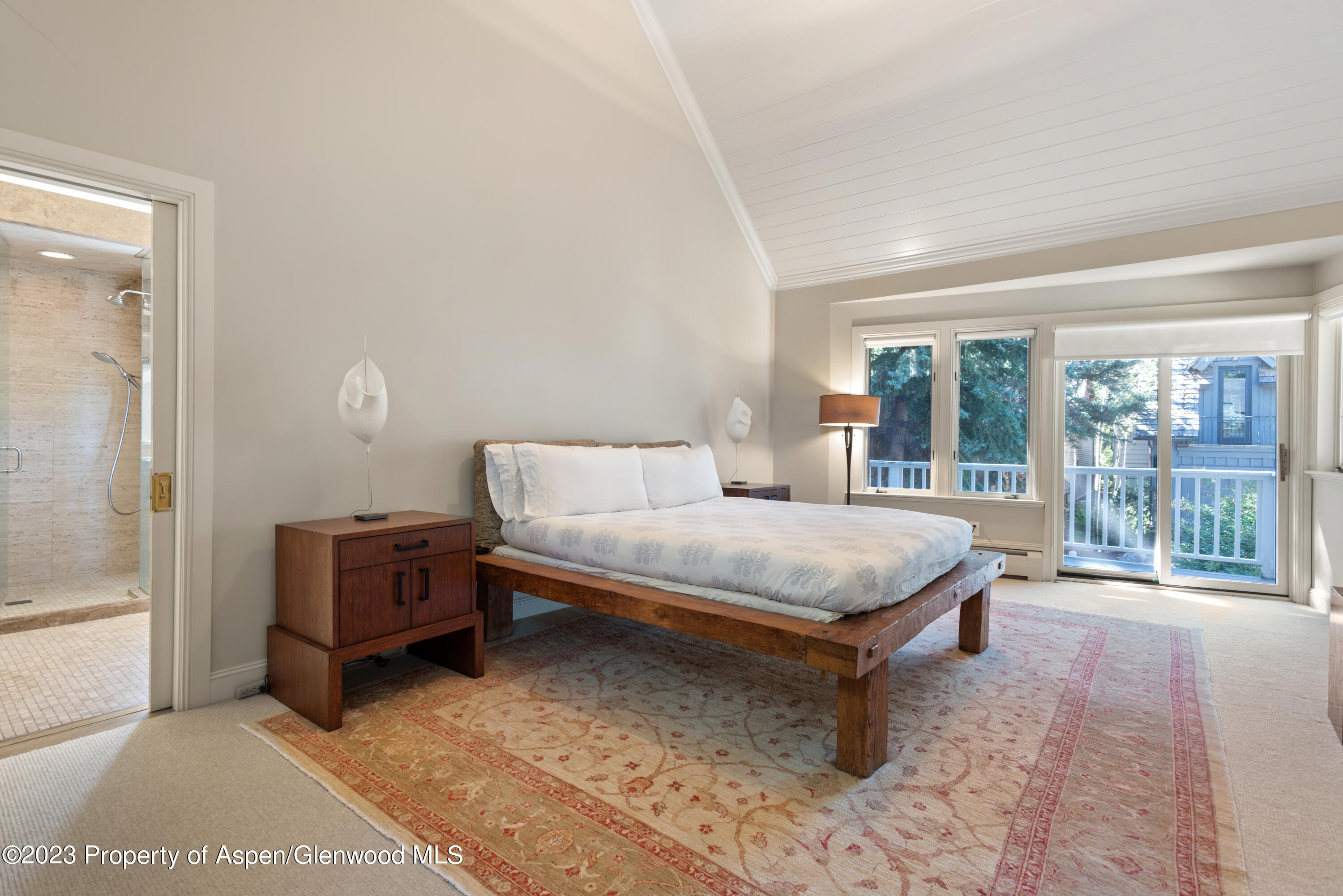 517 W North Street Aspen CO 81611