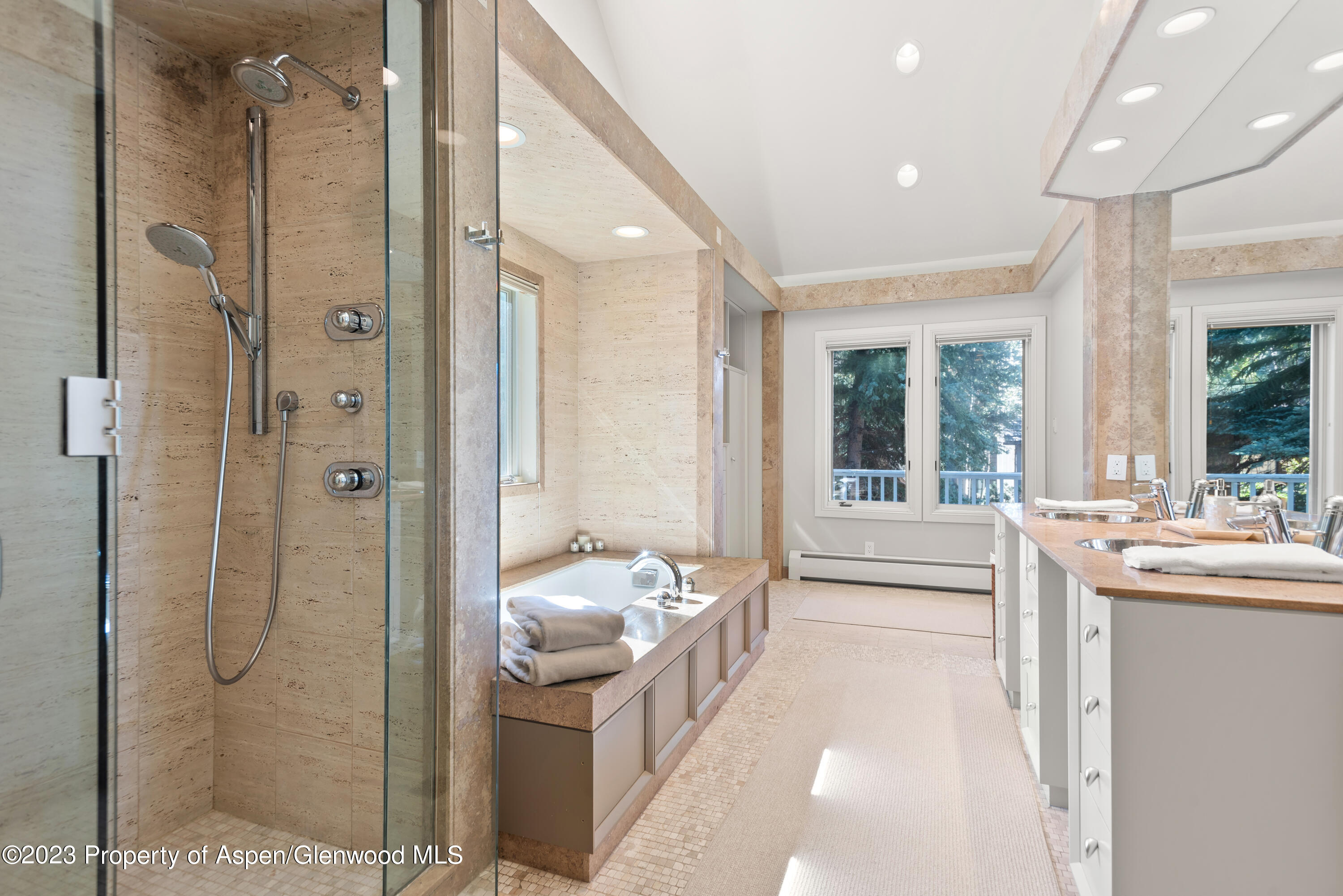 517 W North Street Aspen CO 81611