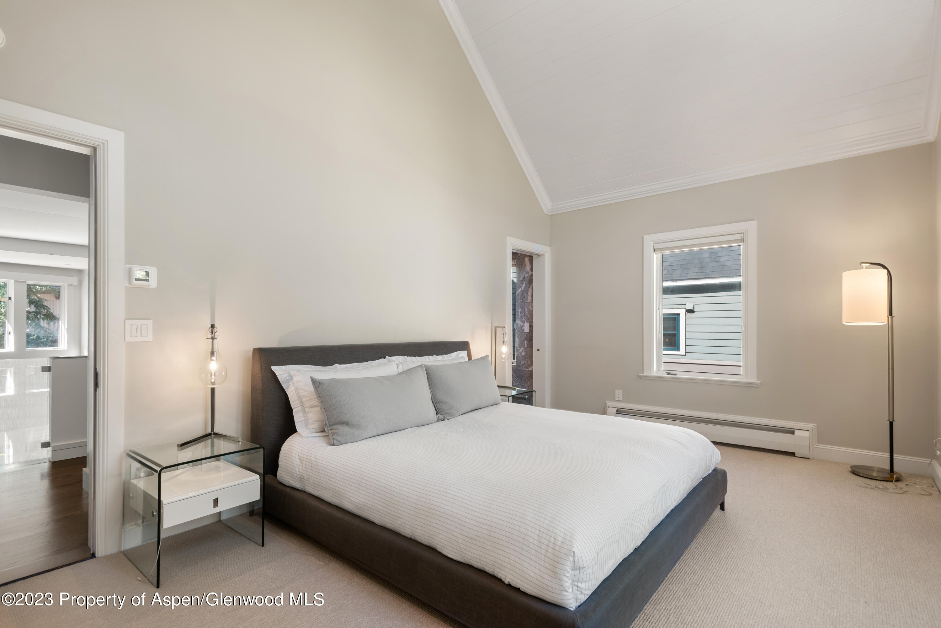 517 W North Street Aspen CO 81611