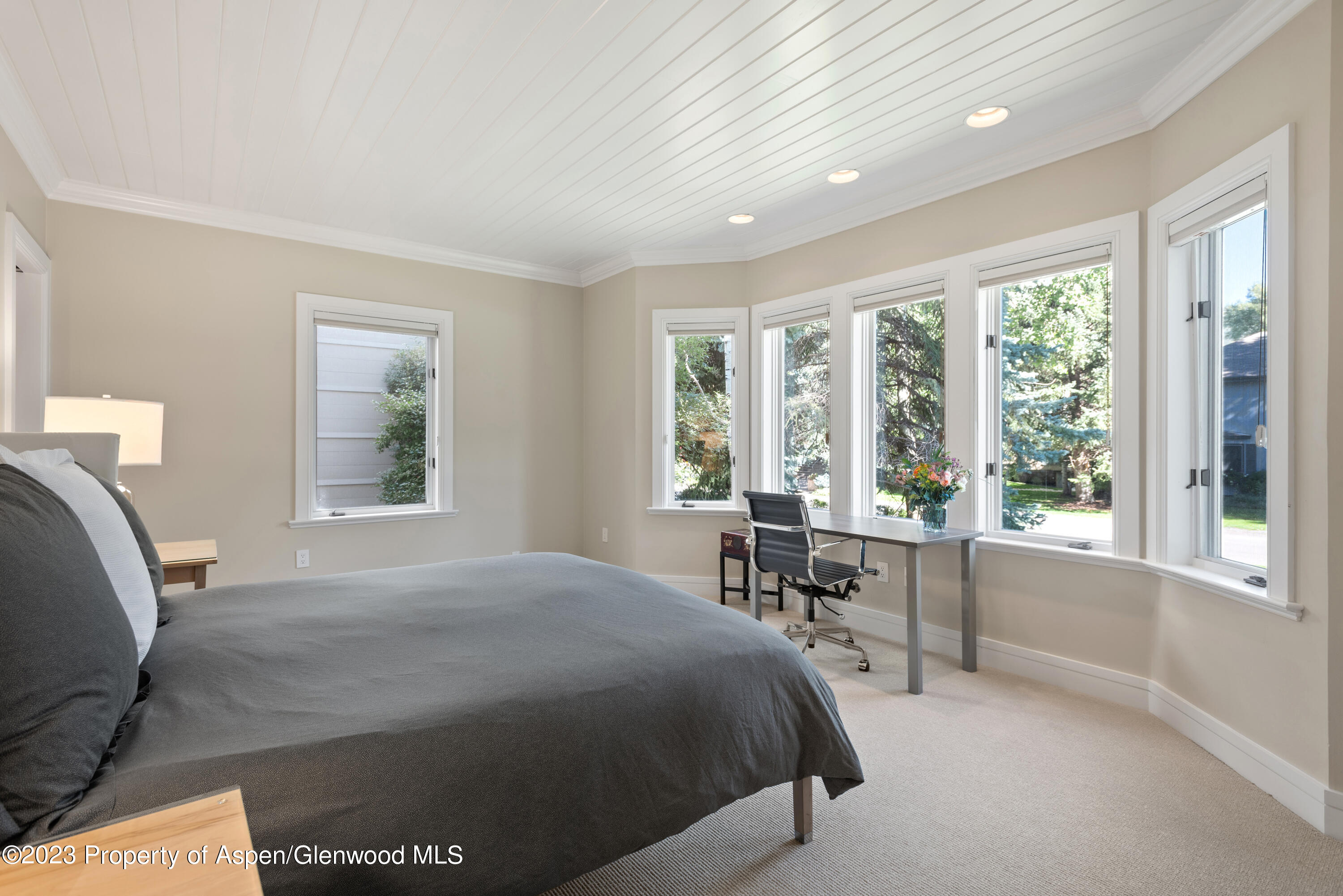 517 W North Street Aspen CO 81611