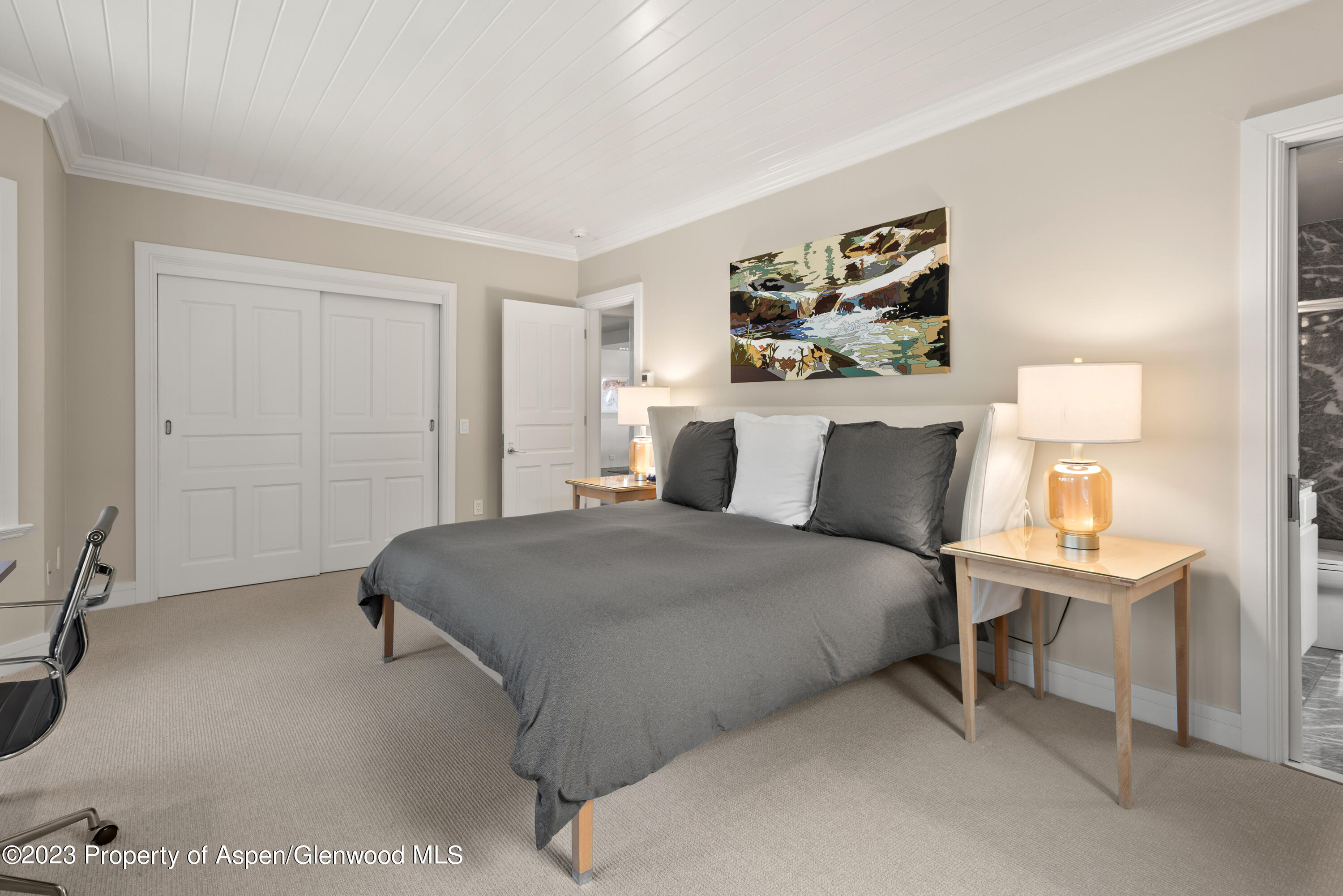 517 W North Street Aspen CO 81611