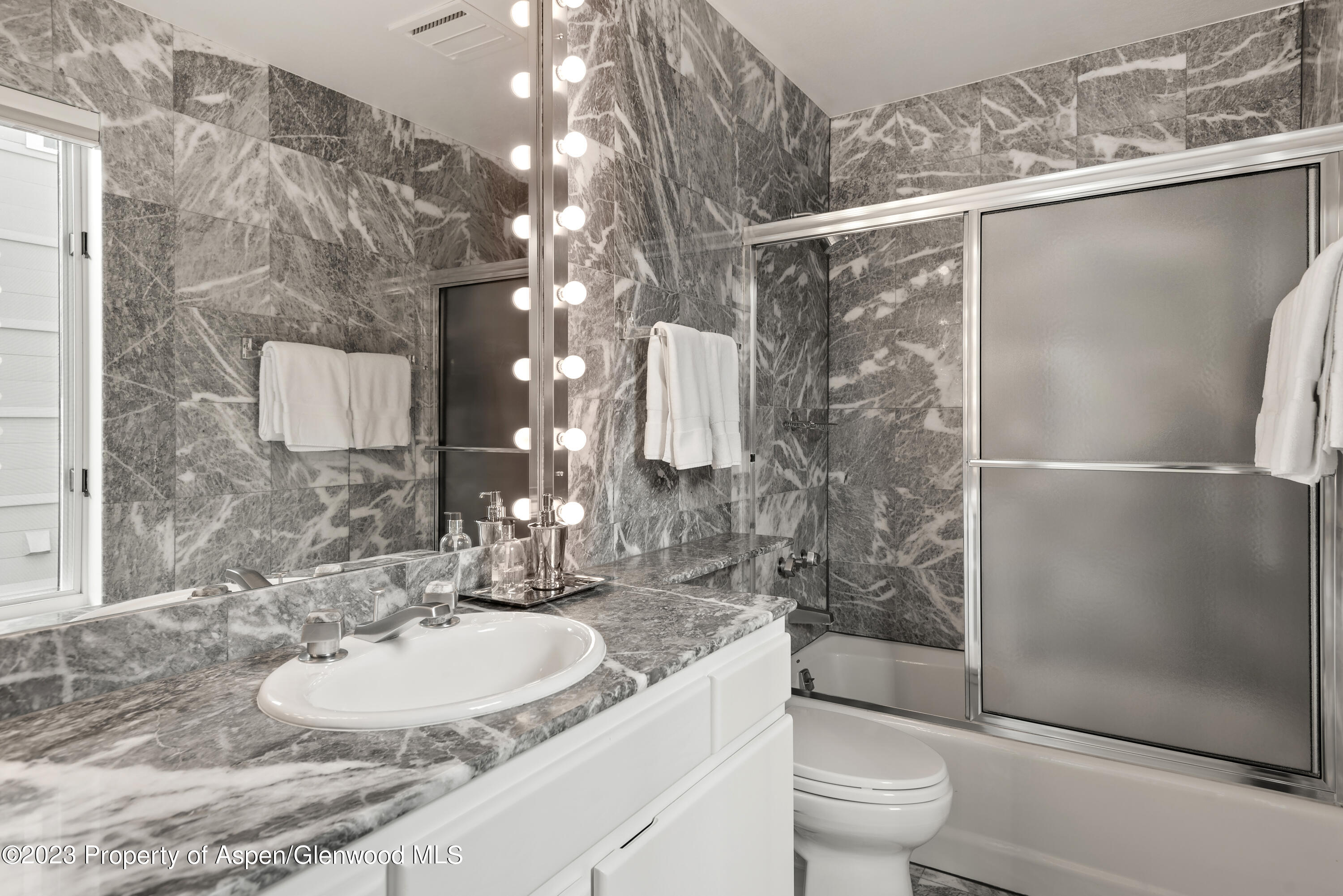 517 W North Street Aspen CO 81611