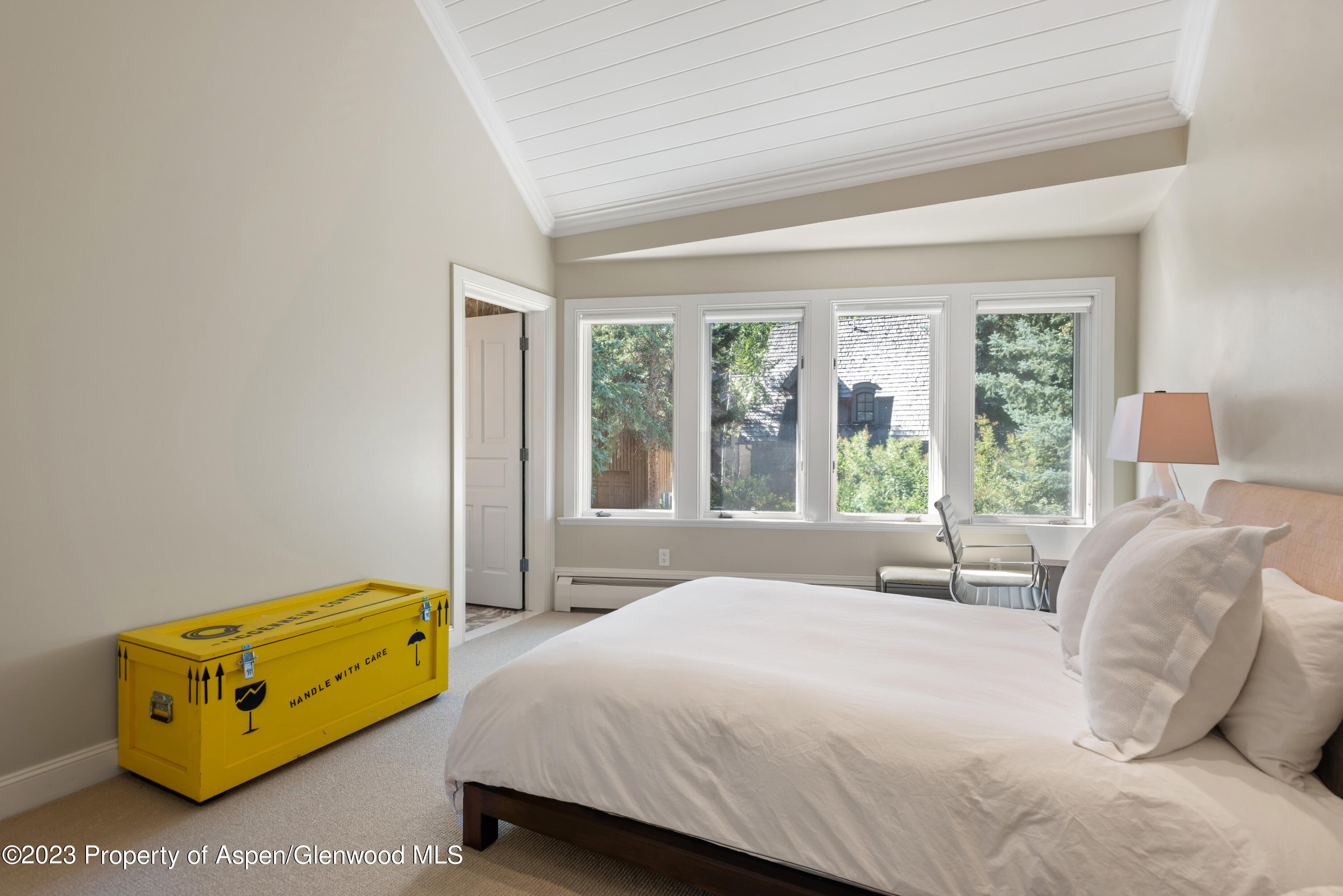 517 W North Street Aspen CO 81611