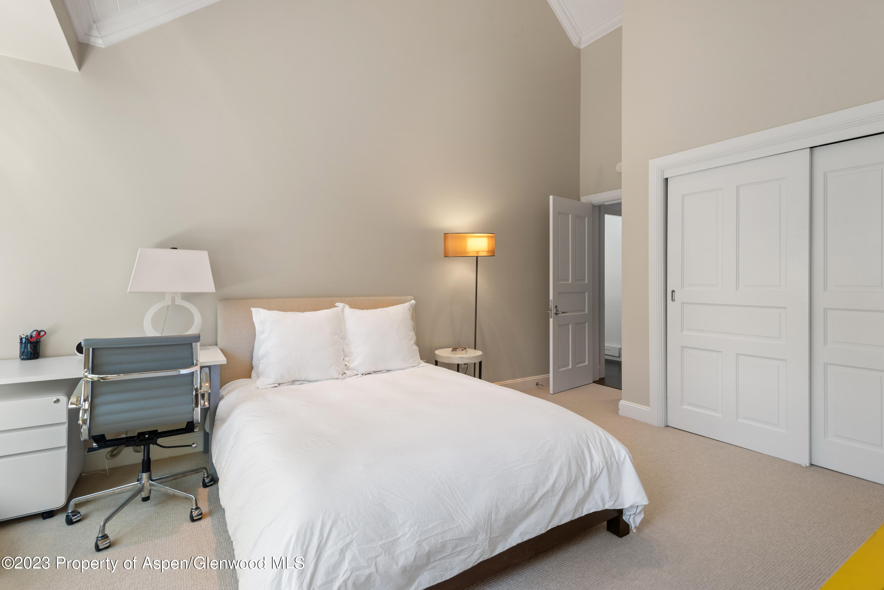 517 W North Street Aspen CO 81611