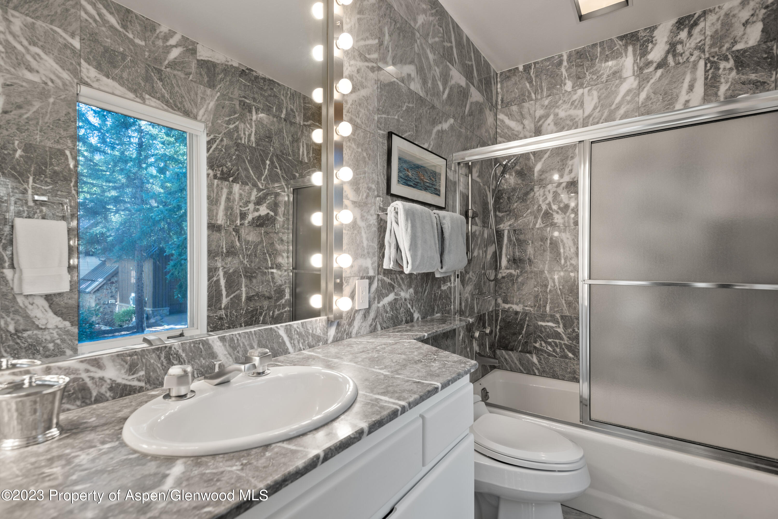 517 W North Street Aspen CO 81611