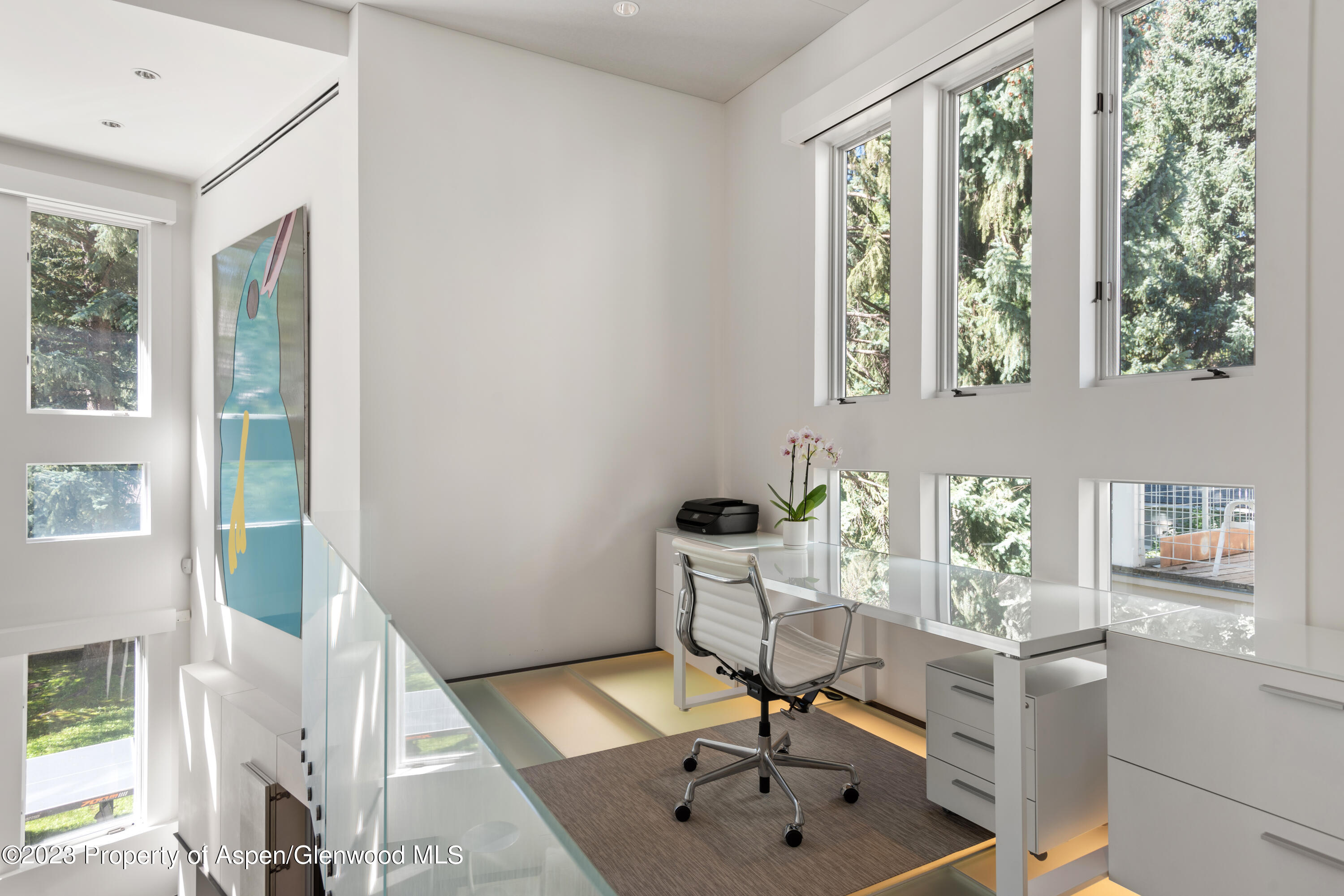 517 W North Street Aspen CO 81611