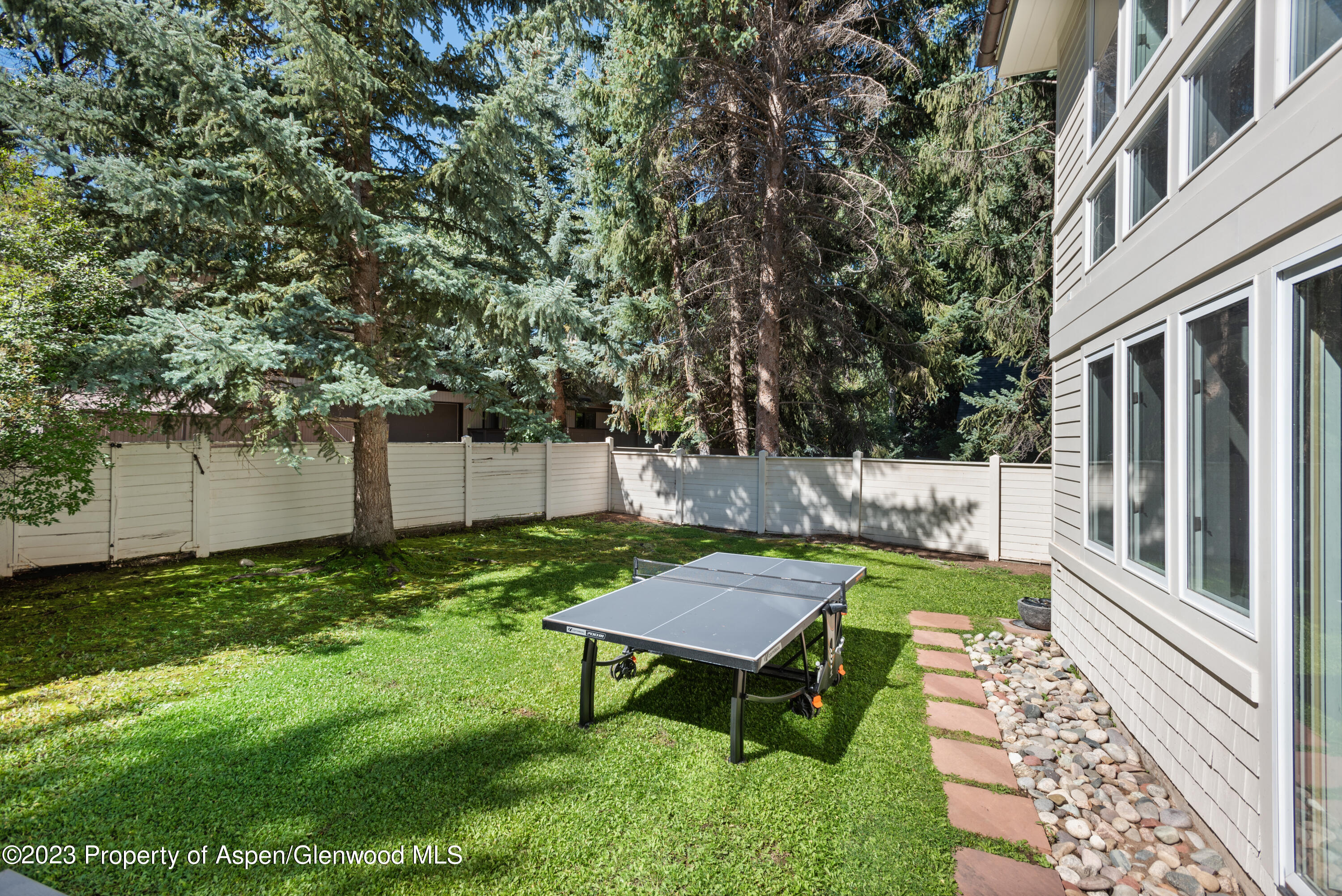 517 W North Street Aspen CO 81611