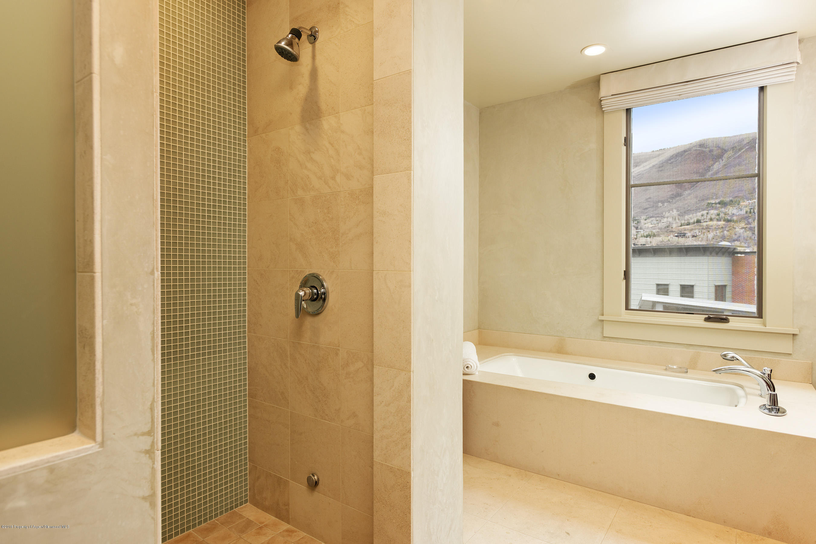 102 Founders Place Aspen CO 81611