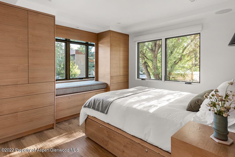 119 E Cooper Avenue Aspen CO 81611