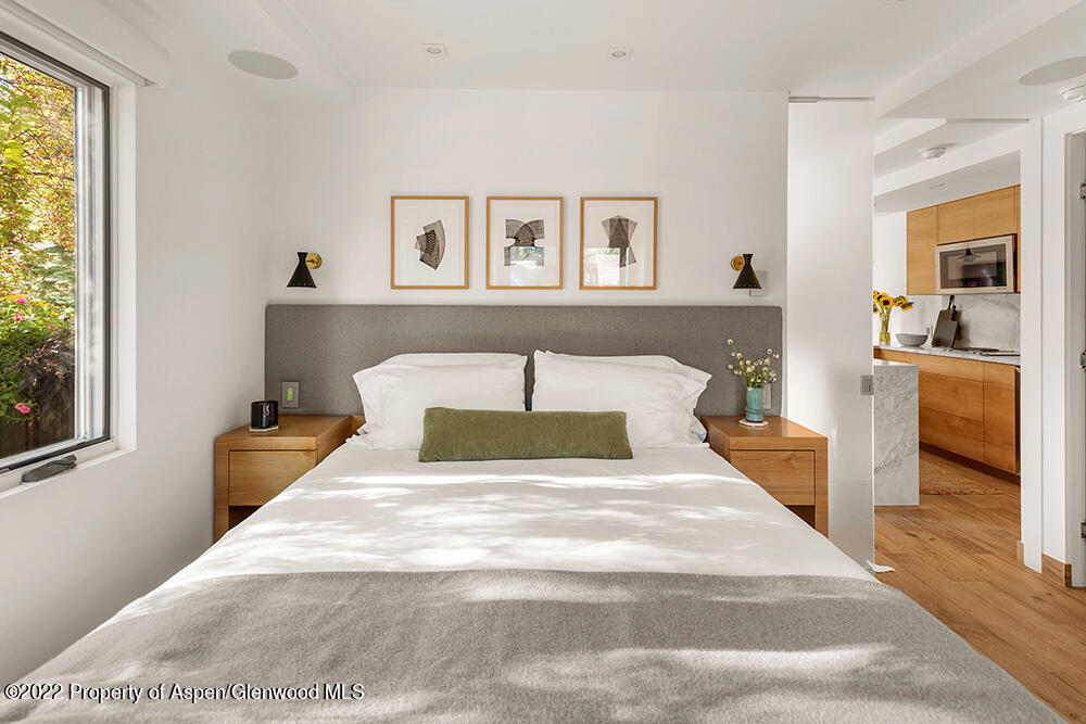 119 E Cooper Avenue Aspen CO 81611