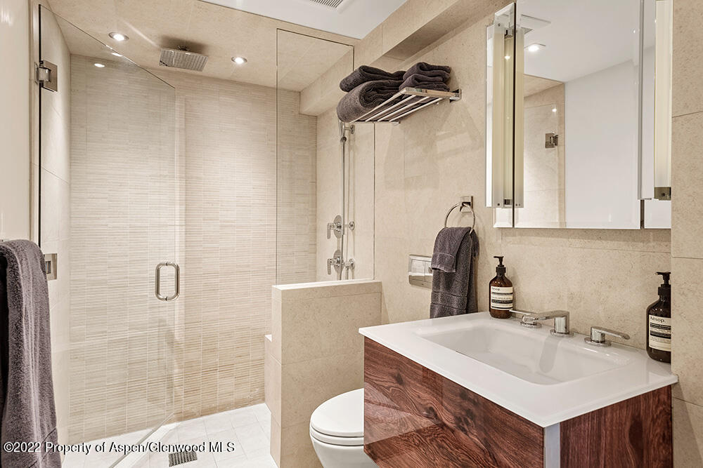 119 E Cooper Avenue Aspen CO 81611