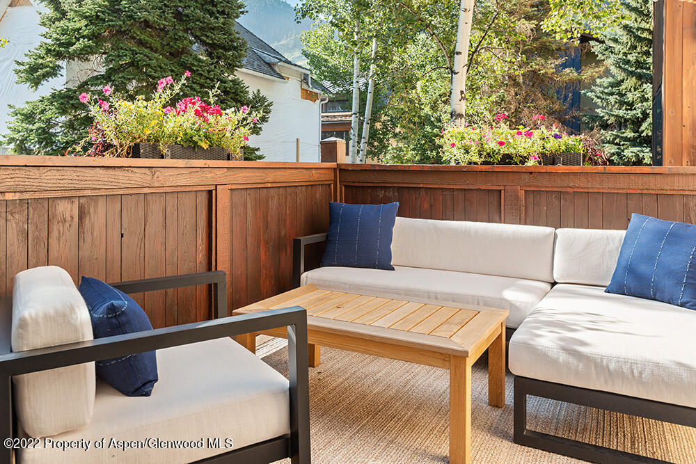 119 E Cooper Avenue Aspen CO 81611