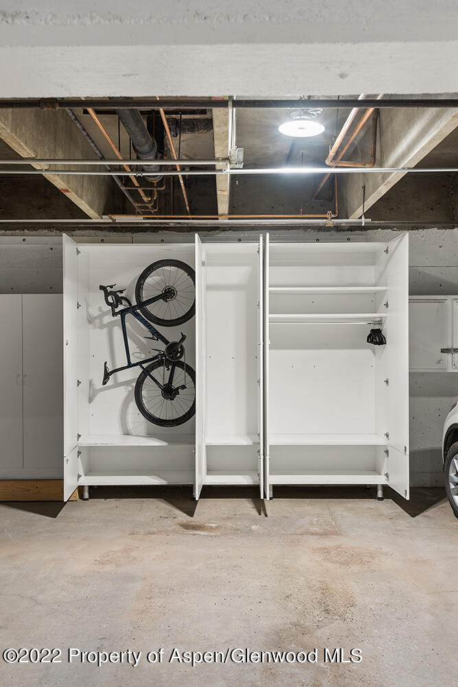 119 E Cooper Avenue Aspen CO 81611