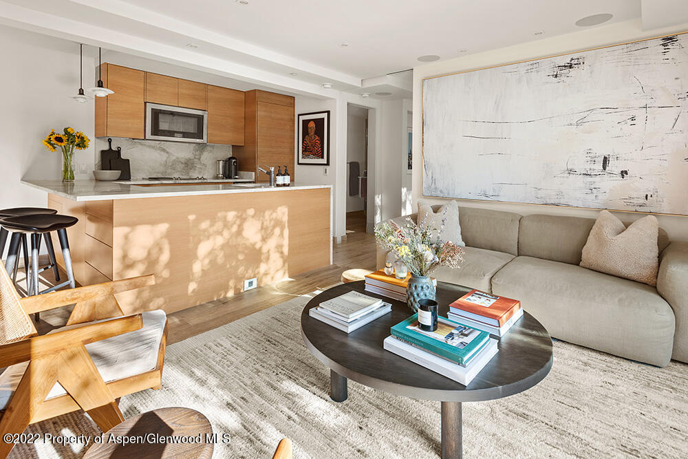 119 E Cooper Avenue Aspen CO 81611