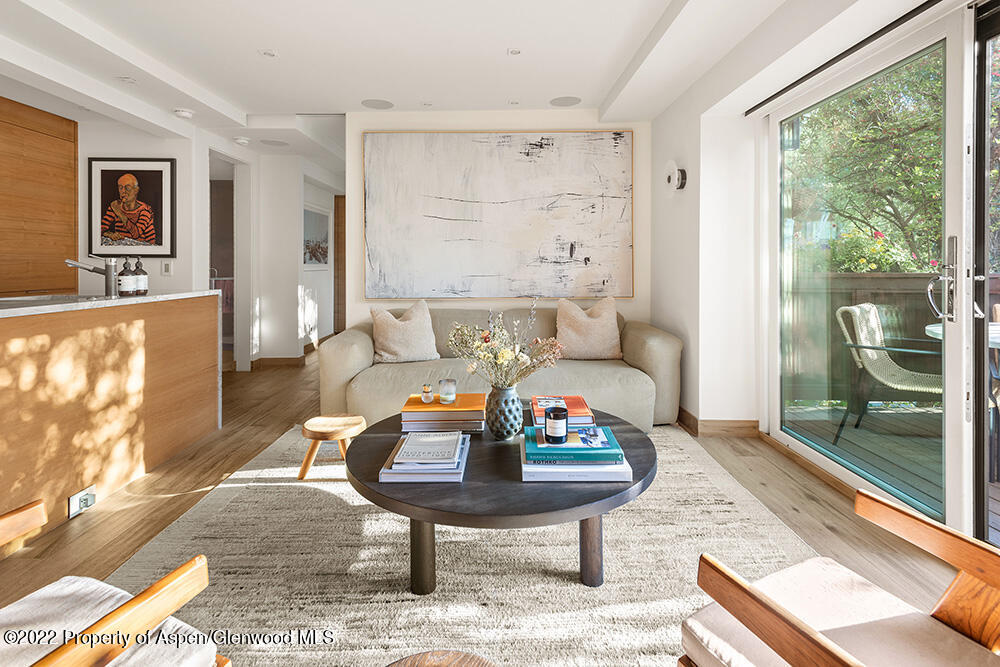 119 E Cooper Avenue Aspen CO 81611