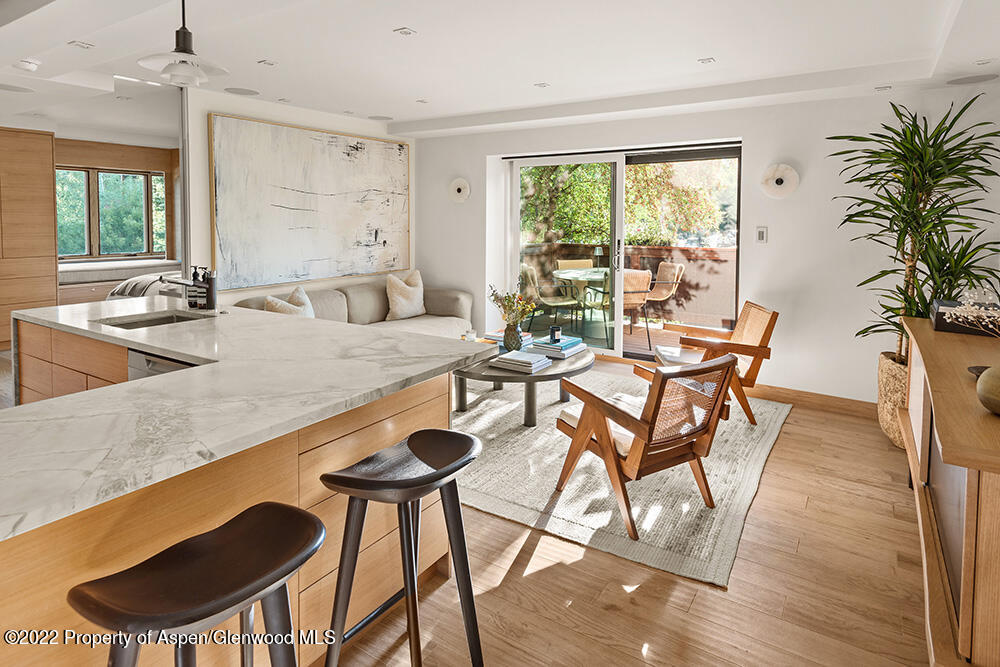 119 E Cooper Avenue Aspen CO 81611