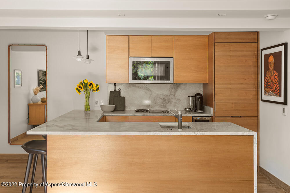 119 E Cooper Avenue Aspen CO 81611