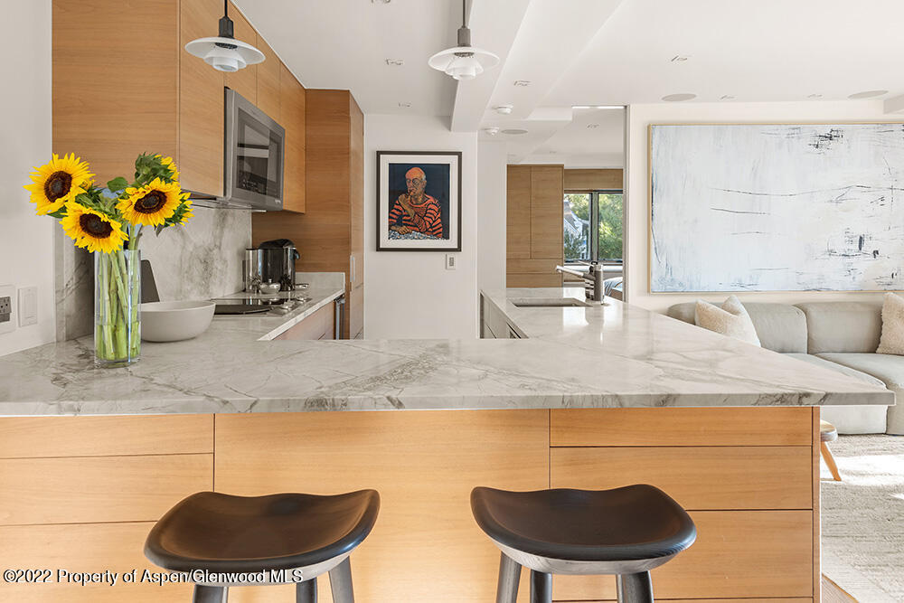 119 E Cooper Avenue Aspen CO 81611