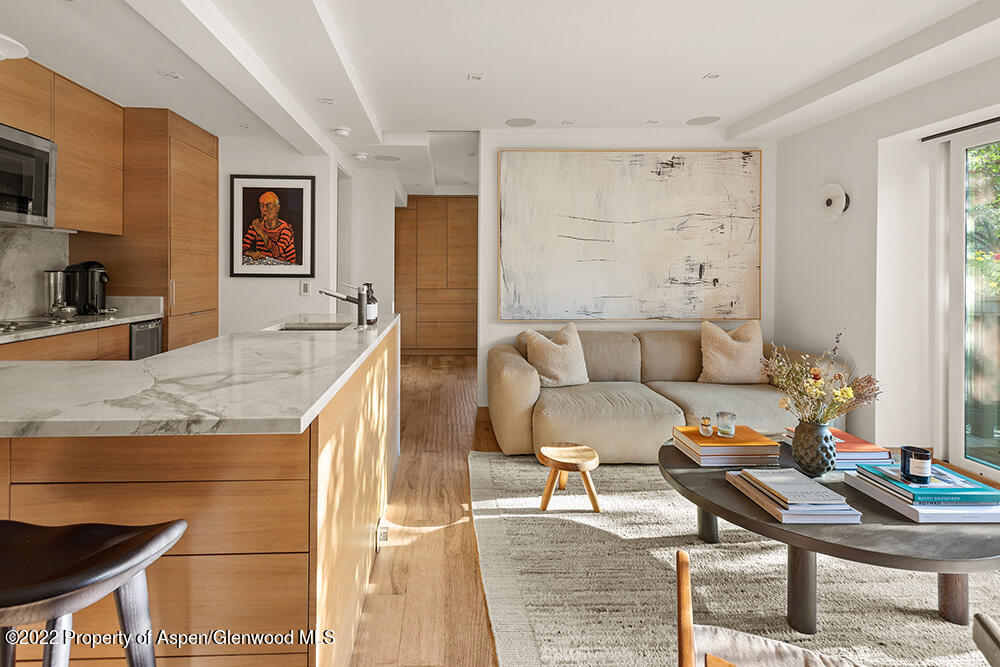 119 E Cooper Avenue Aspen CO 81611