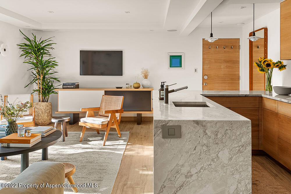 119 E Cooper Avenue Aspen CO 81611