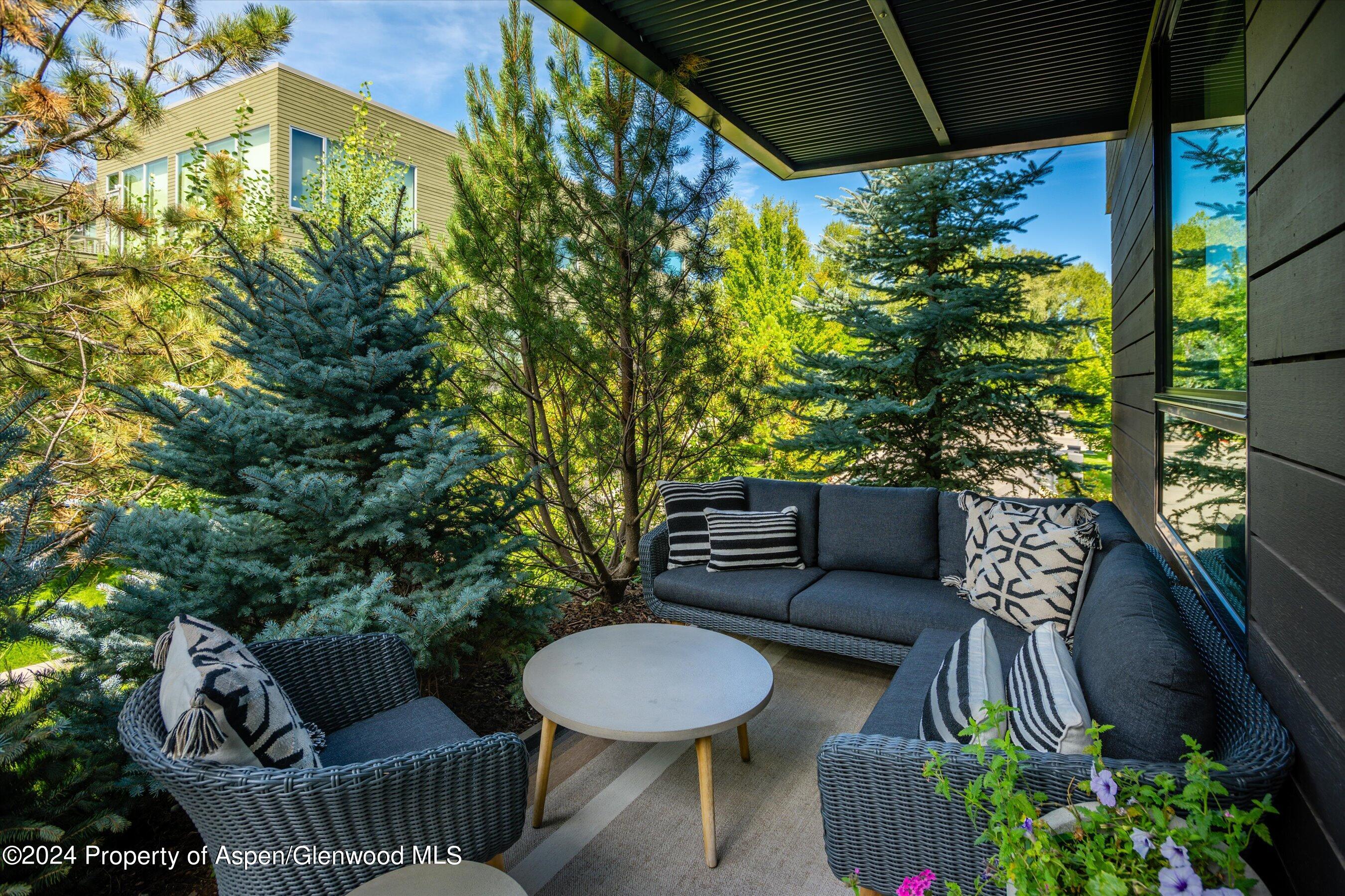 102 Evans Road Basalt CO 81621