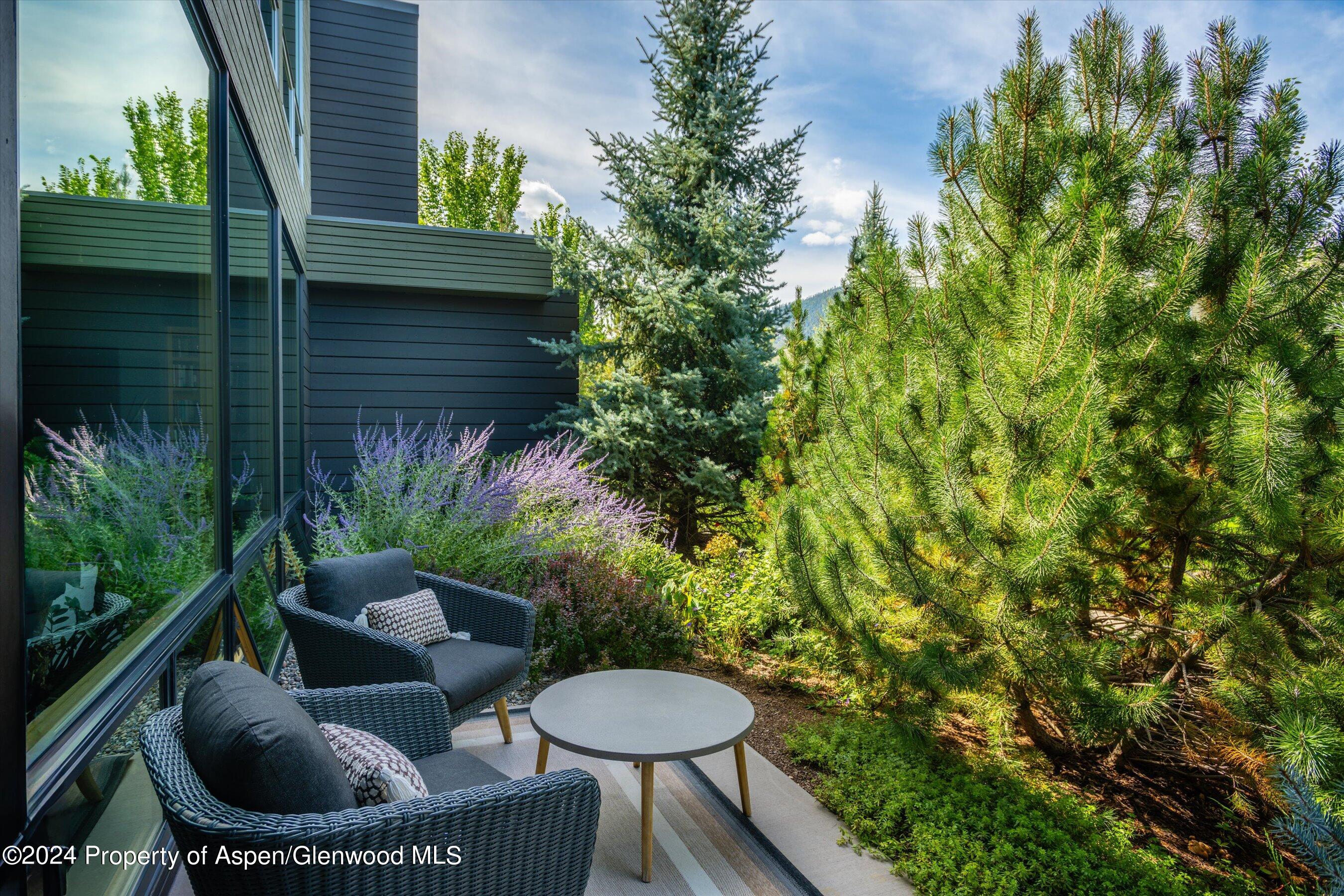 102 Evans Road Basalt CO 81621