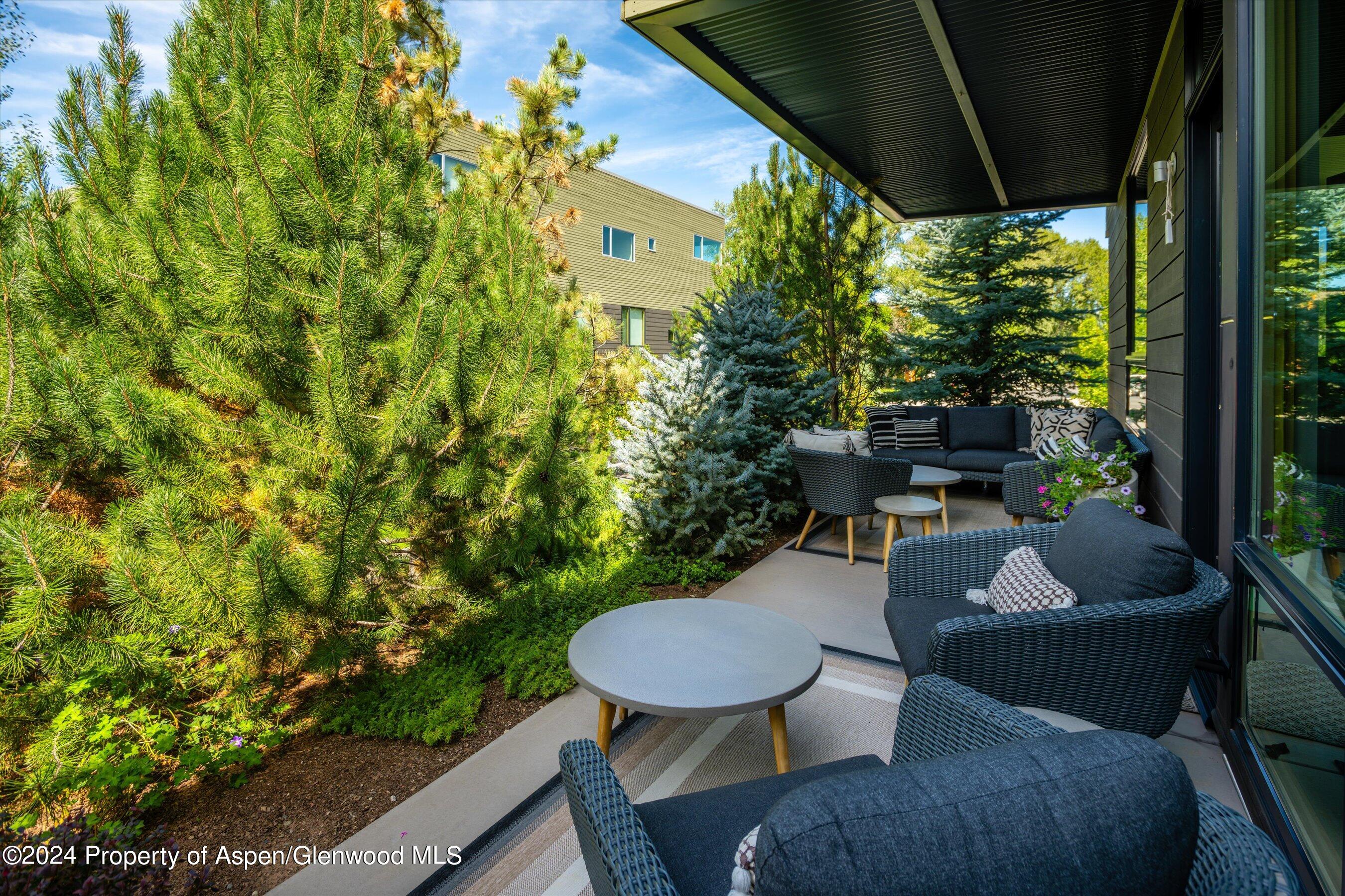 102 Evans Road Basalt CO 81621