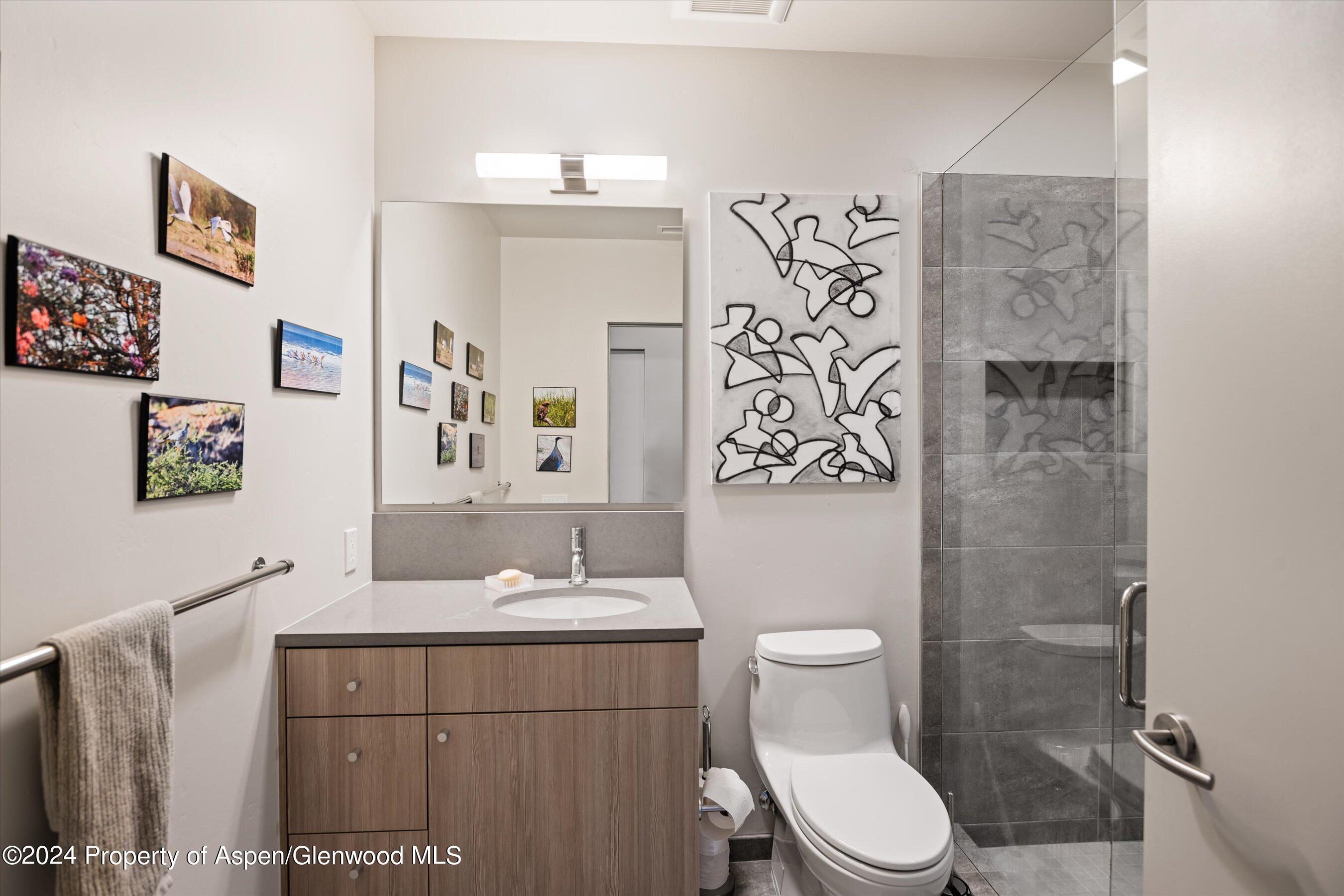 102 Evans Road Basalt CO 81621