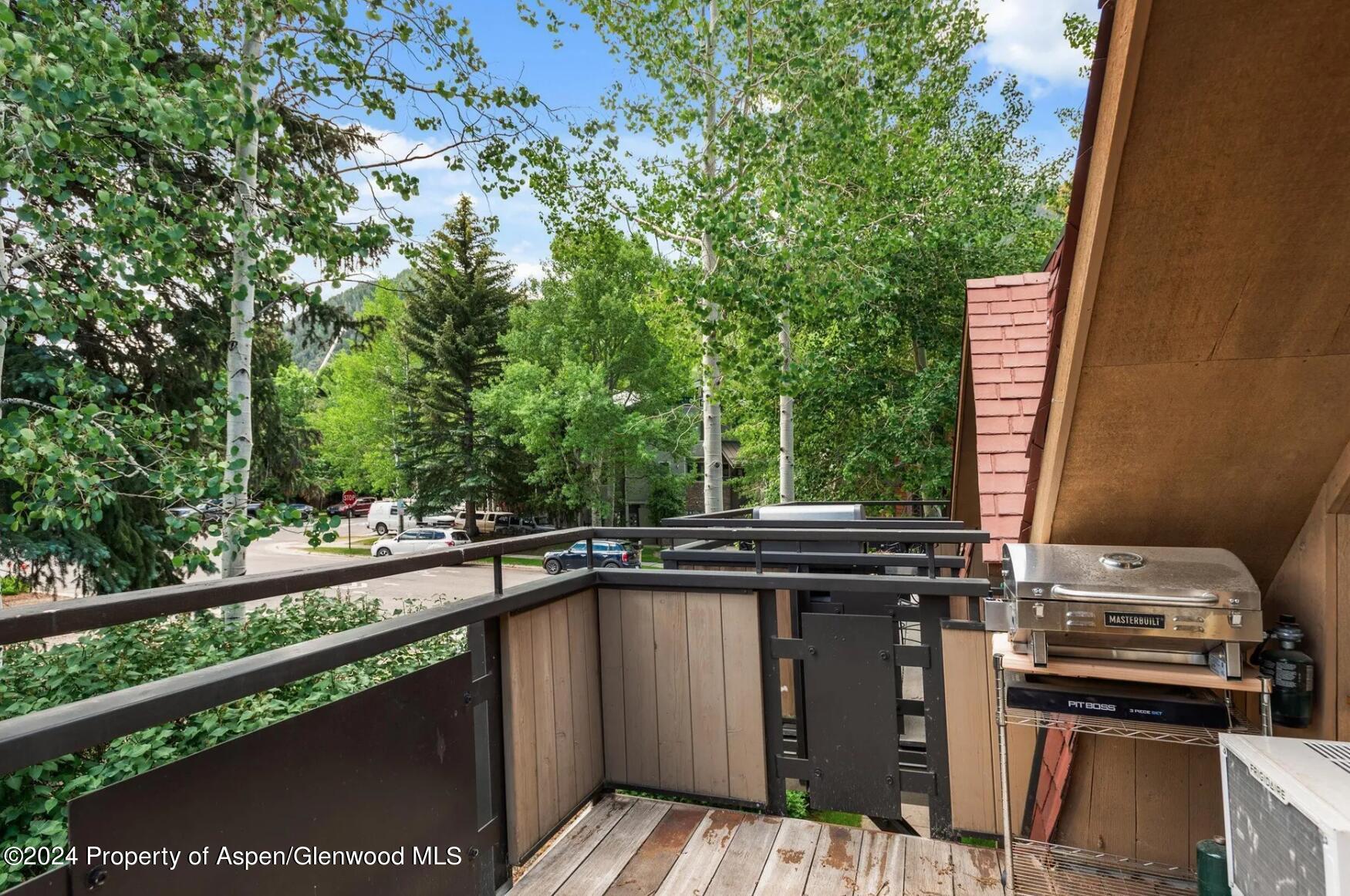 108 W Hyman Avenue Aspen CO 81611