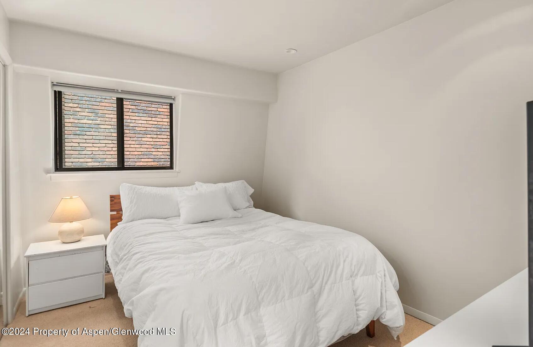 108 W Hyman Avenue Aspen CO 81611