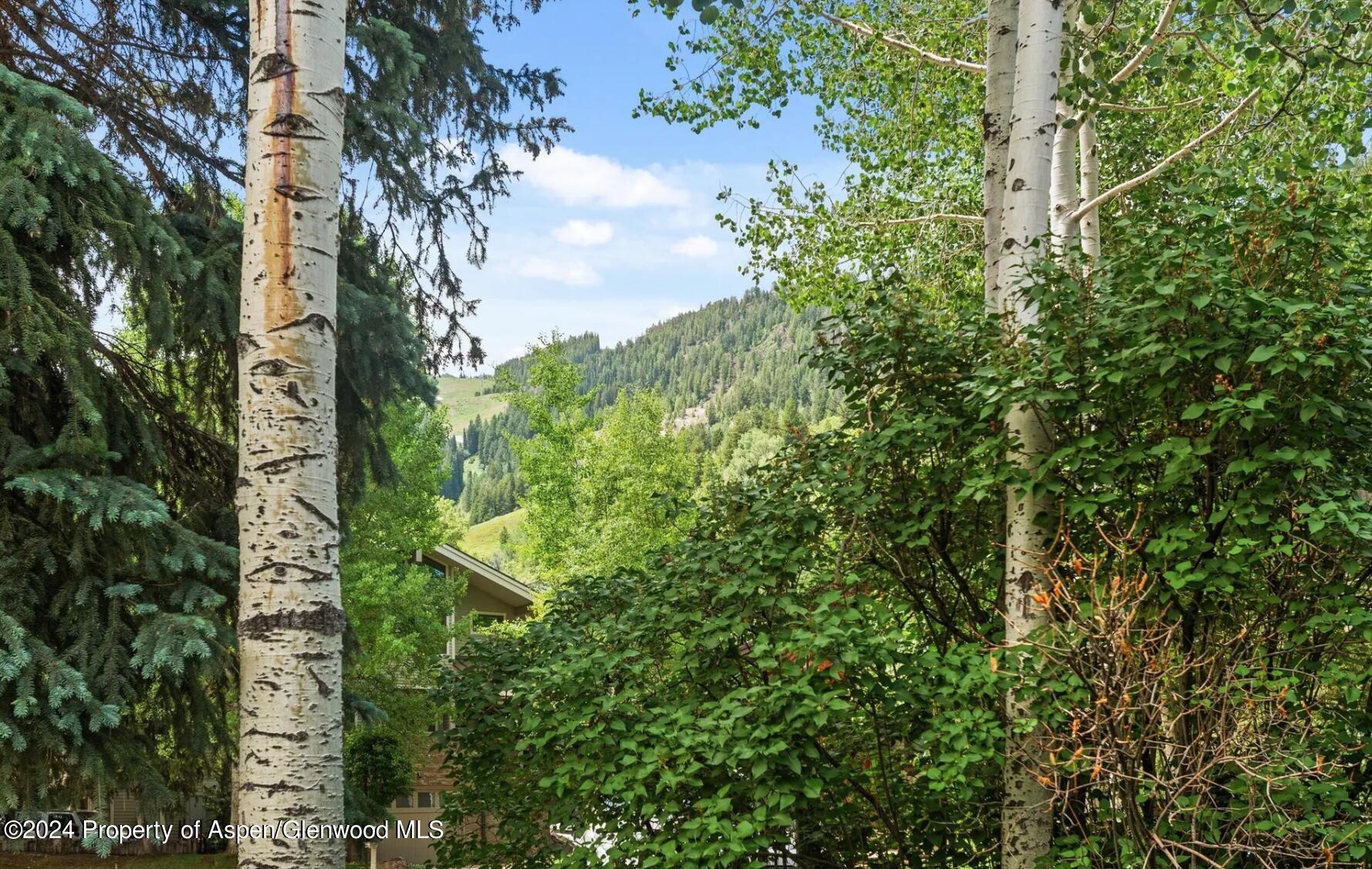 108 W Hyman Avenue Aspen CO 81611