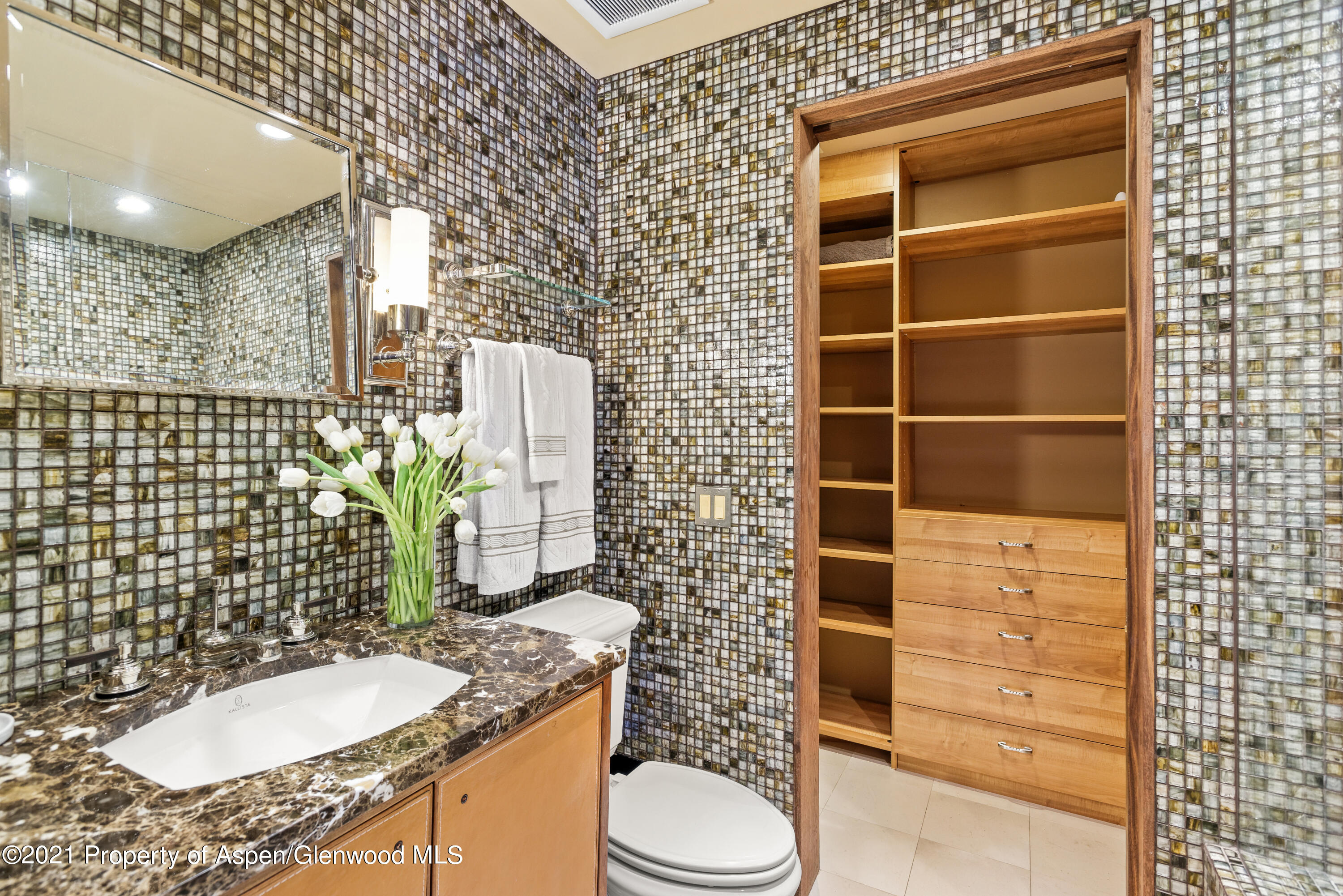 800 S Monarch Street Aspen CO 81611