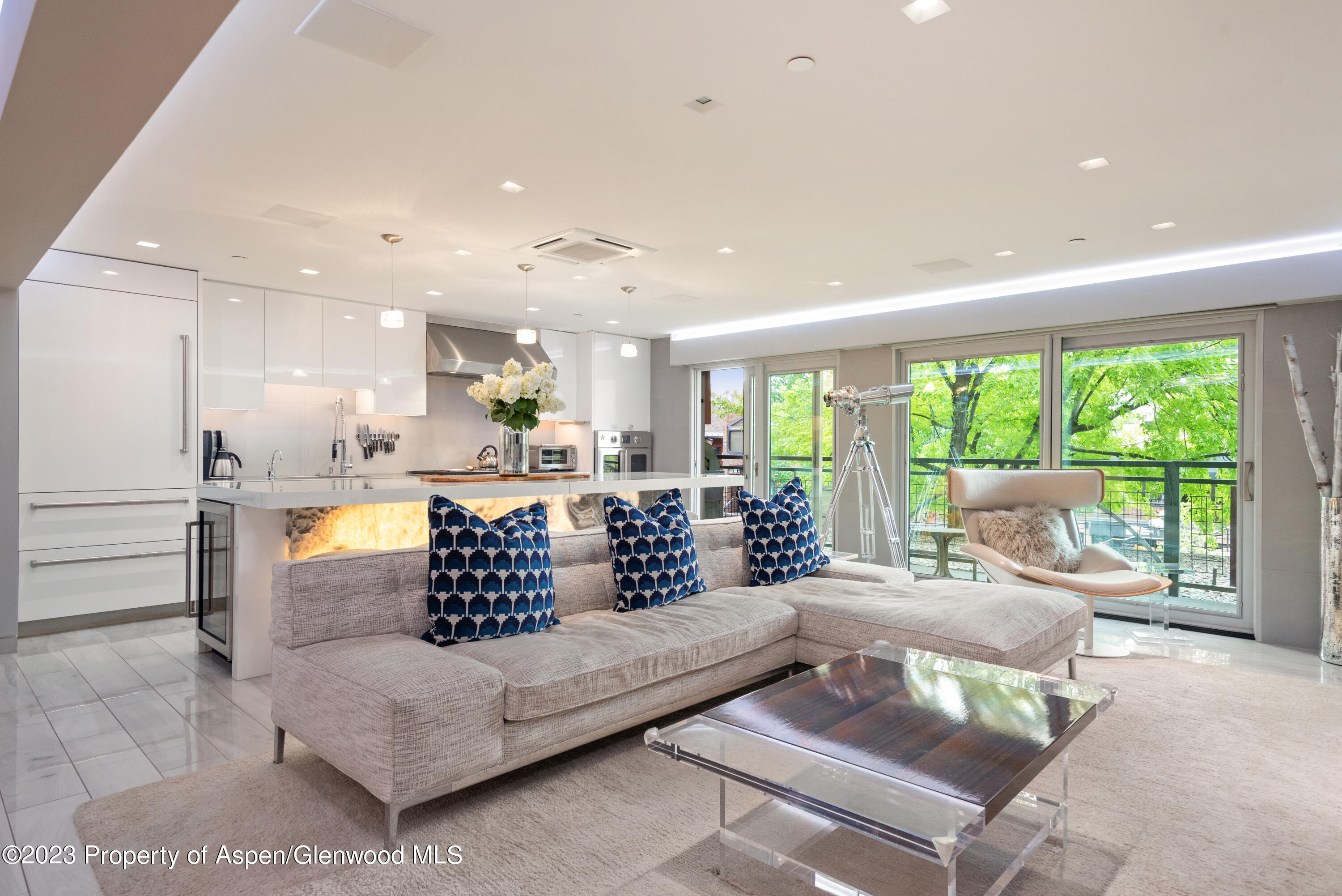 555 E Durant Avenue Aspen CO 81611